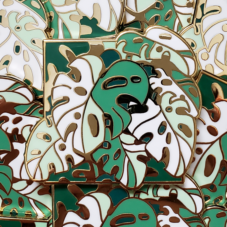 monstera deliciosa variegata