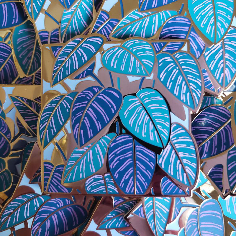 calathea ornata