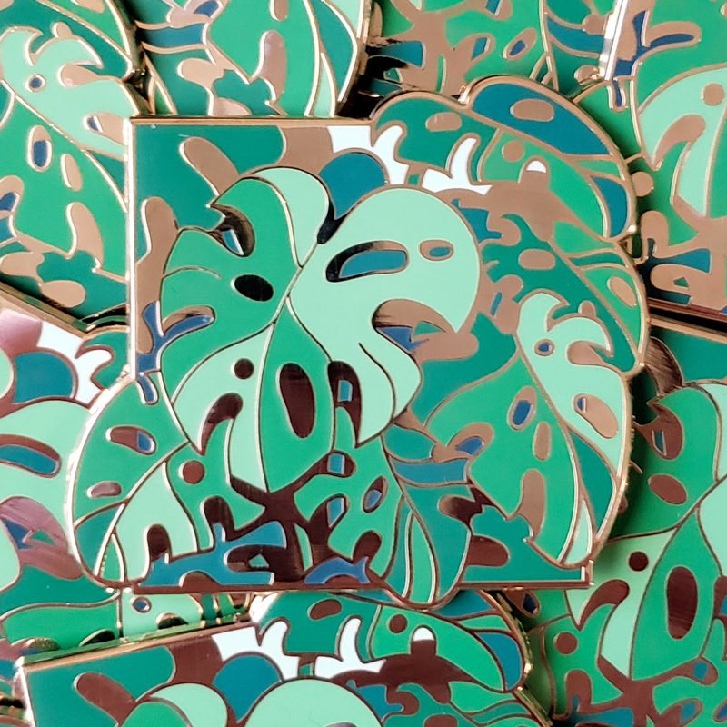 monstera deliciosa