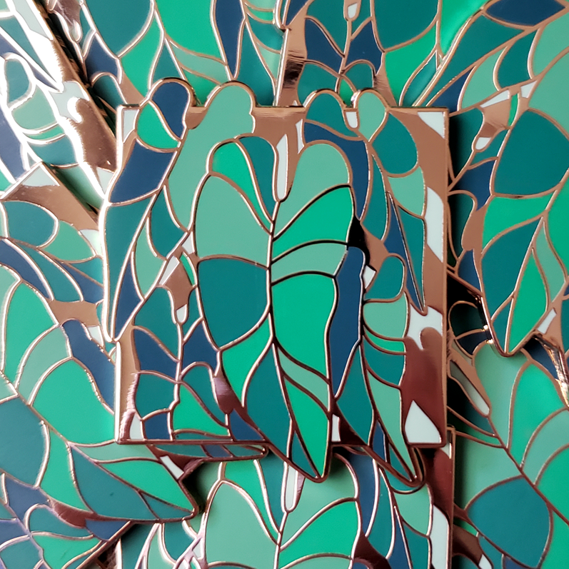 philodendron esmeraldense