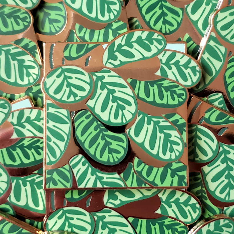 calathea makoyana