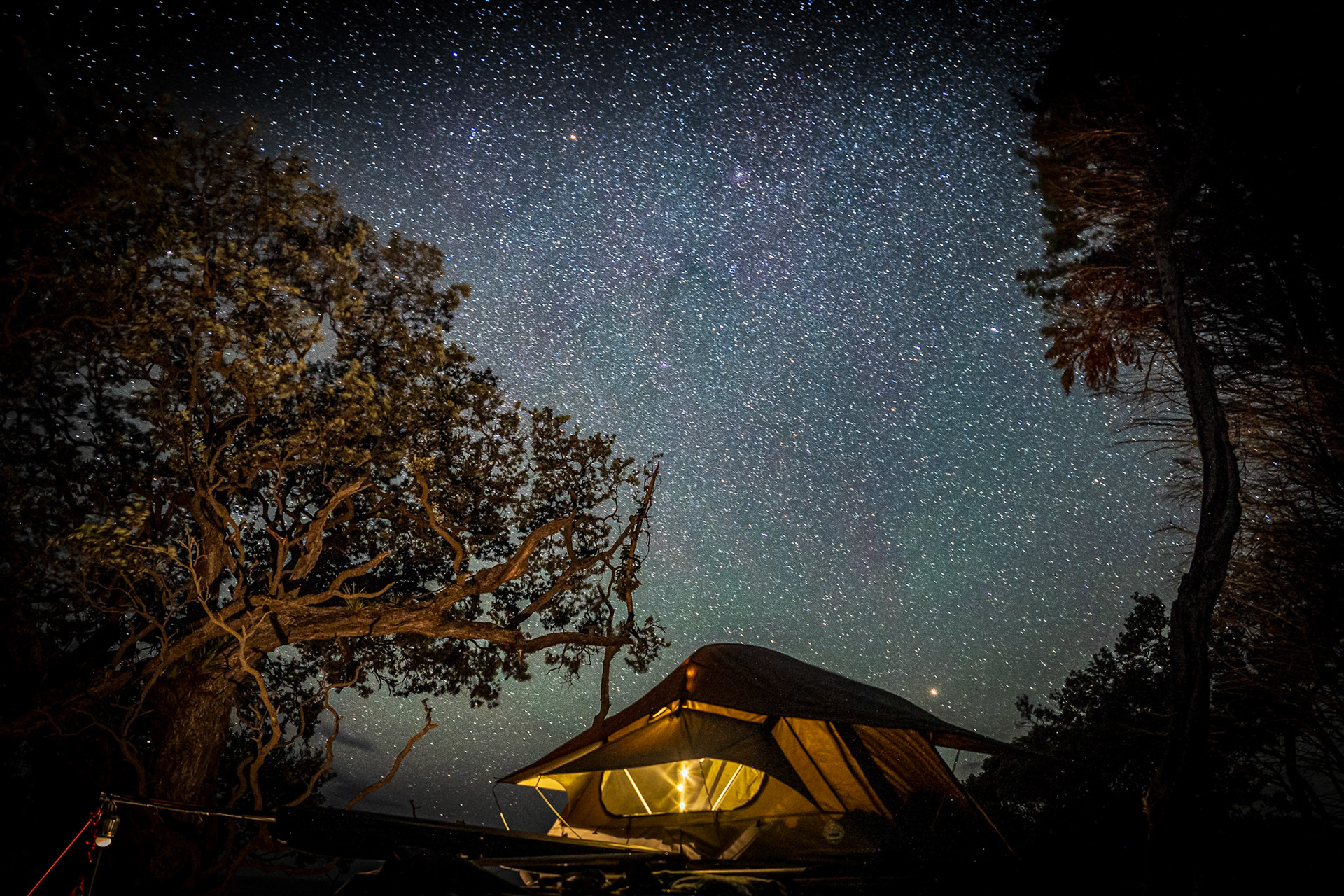 In a land far far away, Opotiki, NZ