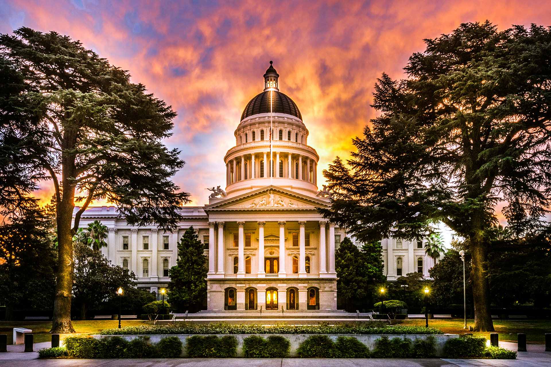 The Capitol