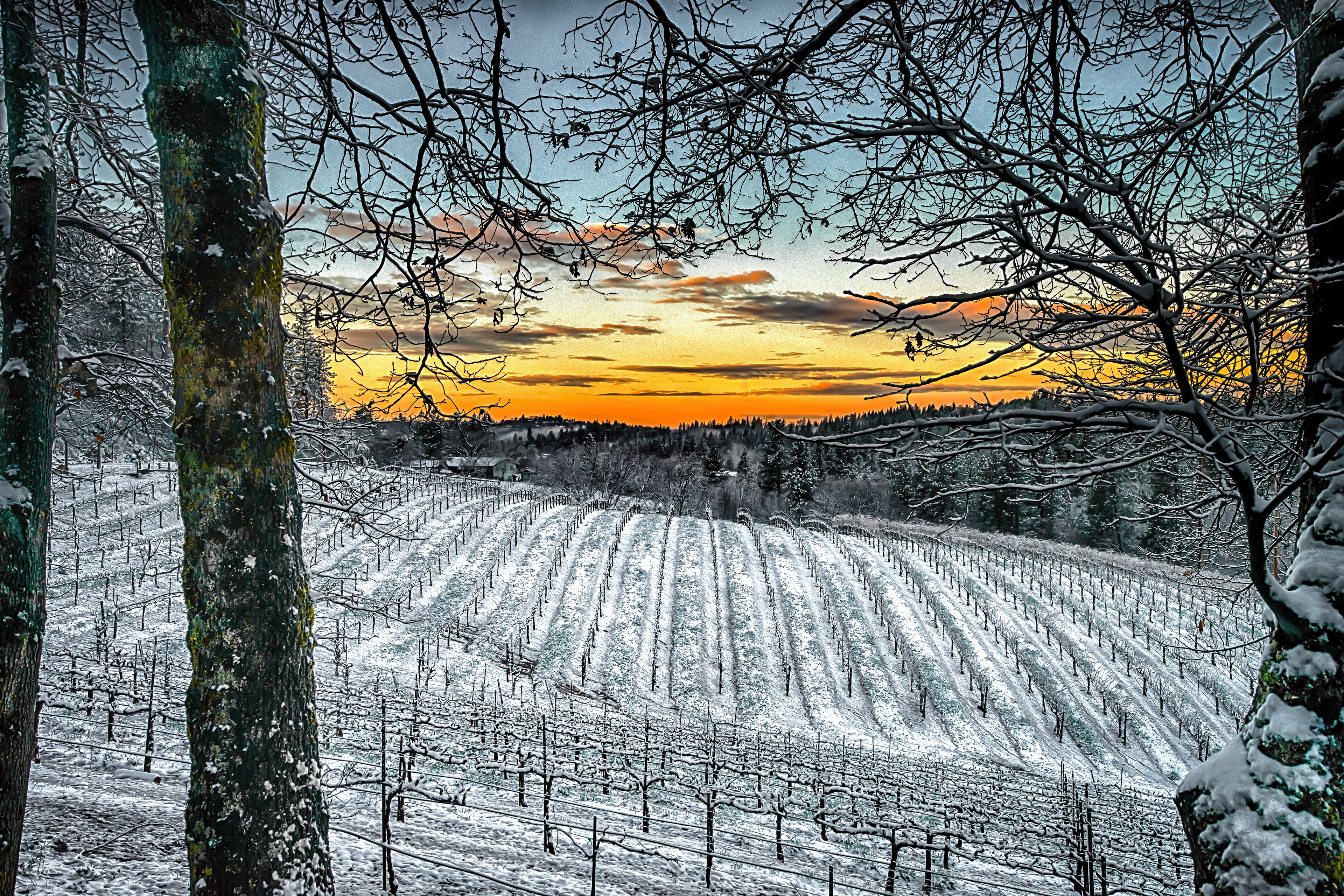 A Dusting of Snow