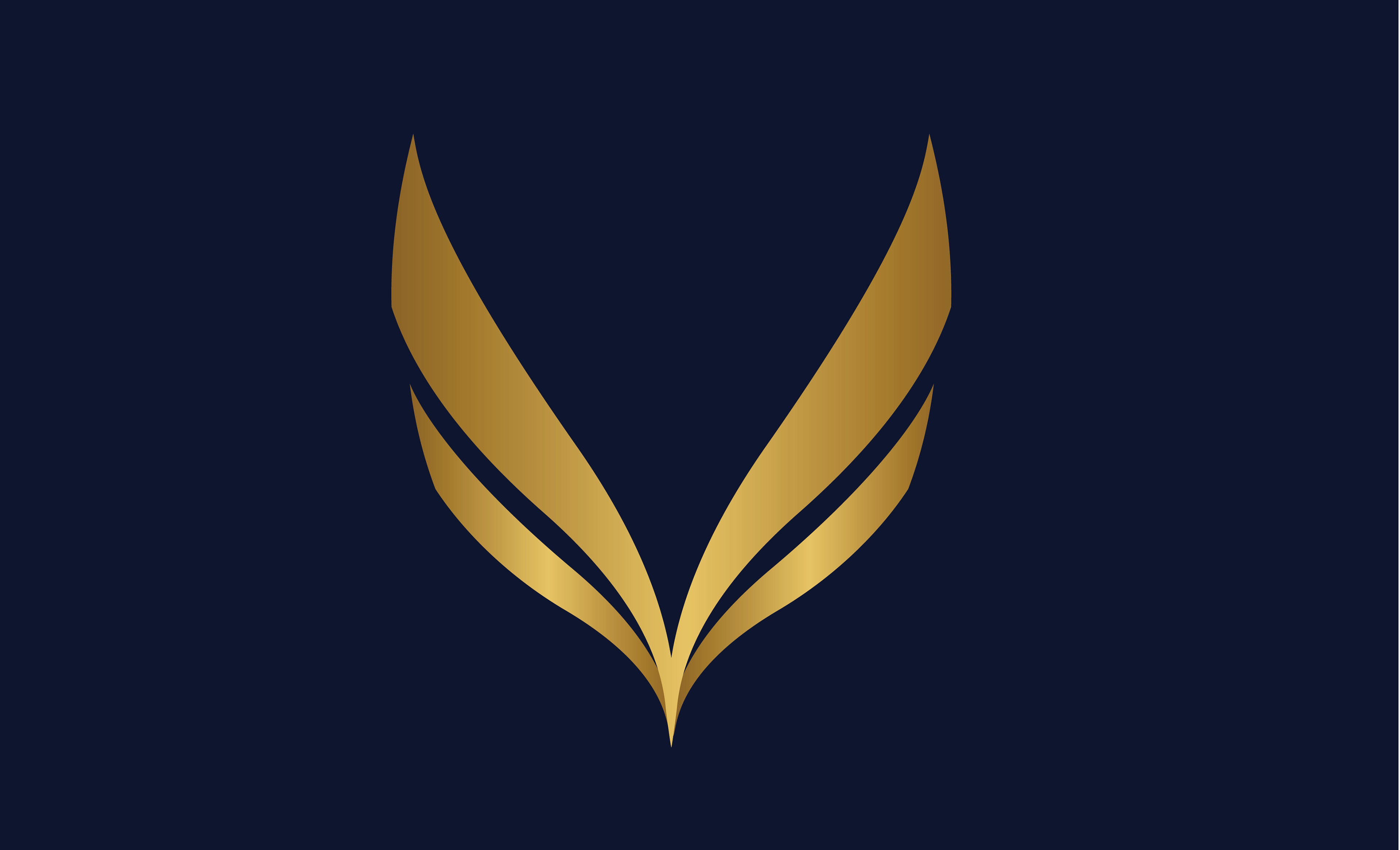 Vaya Airlines Secondary Logo