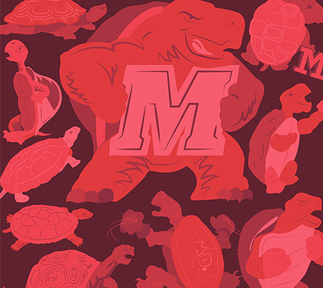 Terps, 2017.