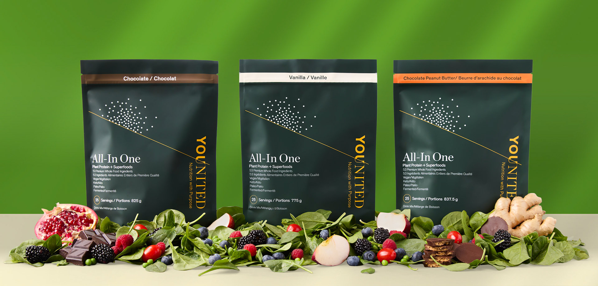 All in One Protein Group