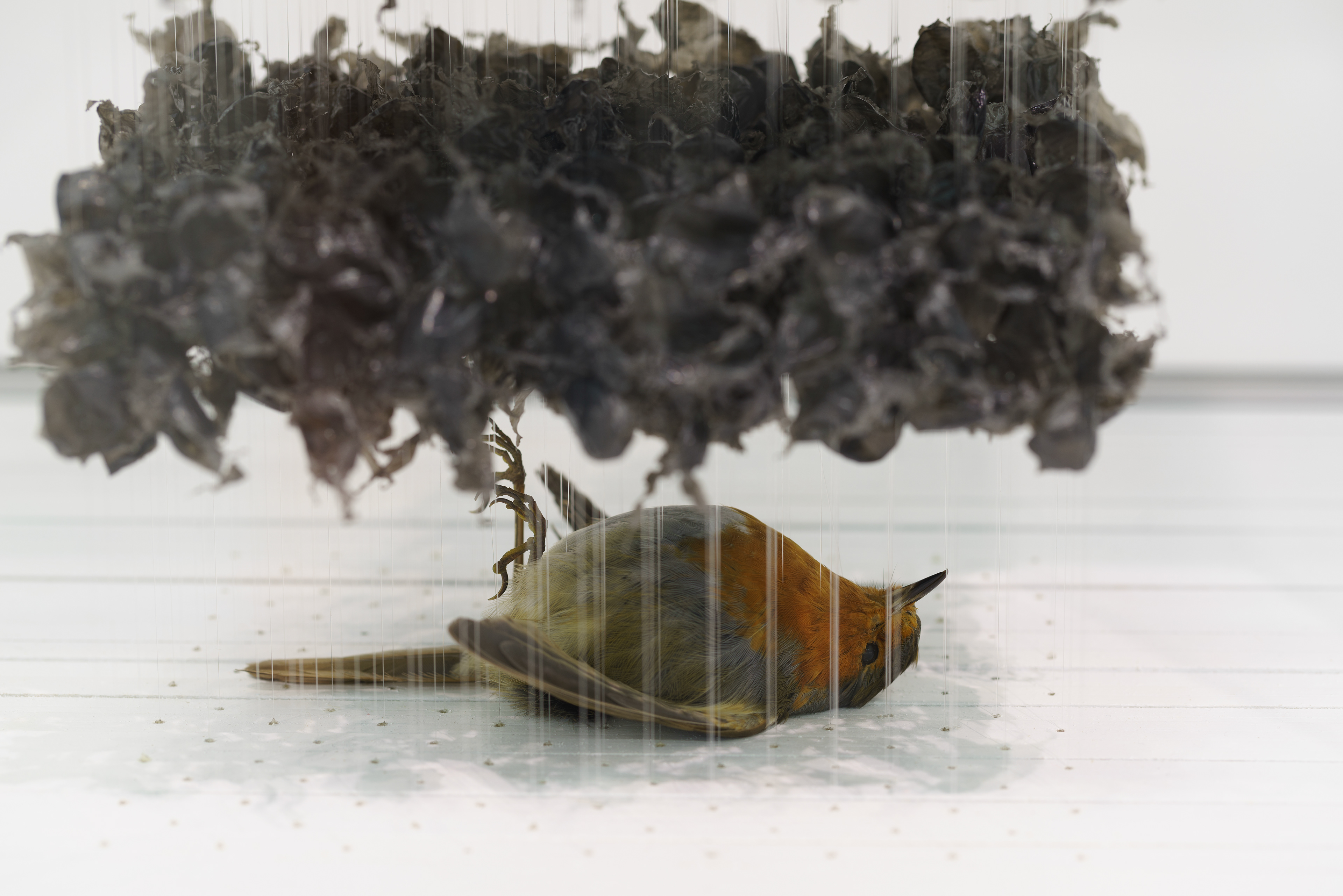 Messefotografie Christopher C. Franken, Köln: Art Cologne - Galerie Karsten Greve