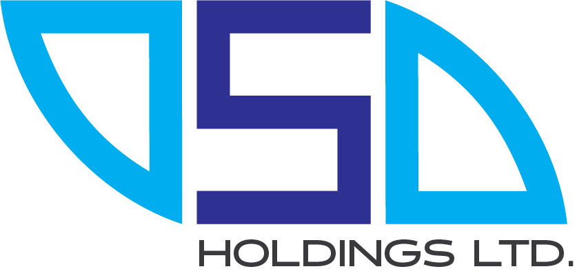 VSD Holdings Logo
