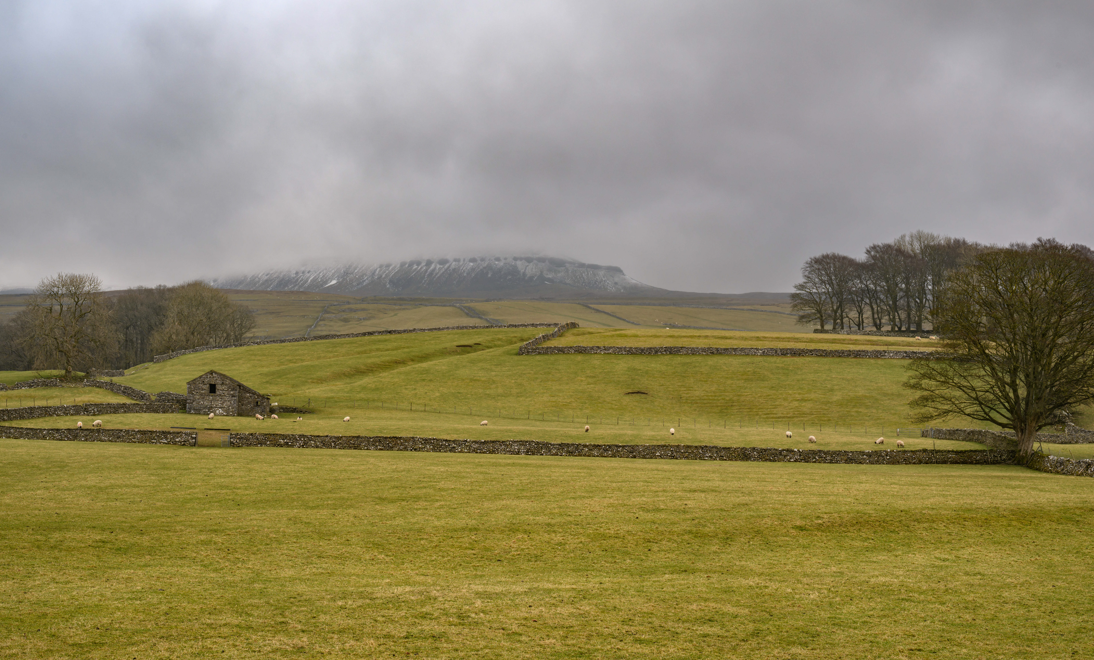 Ingelton