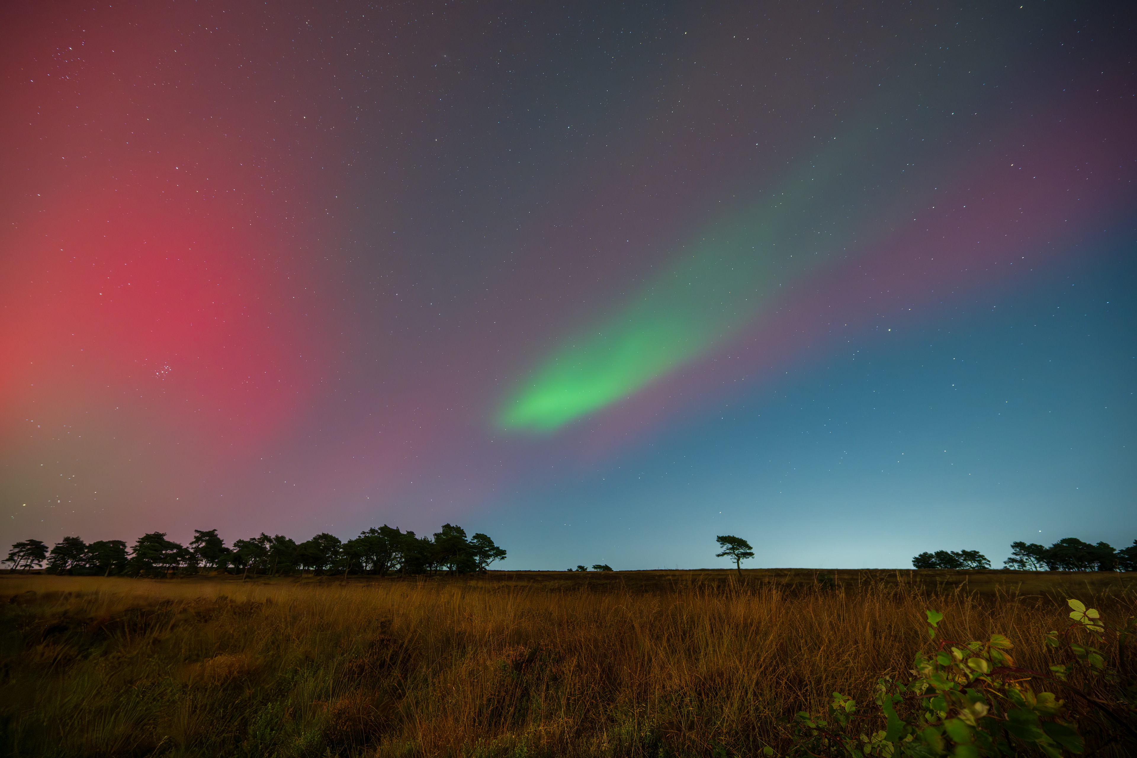 Northern Lights