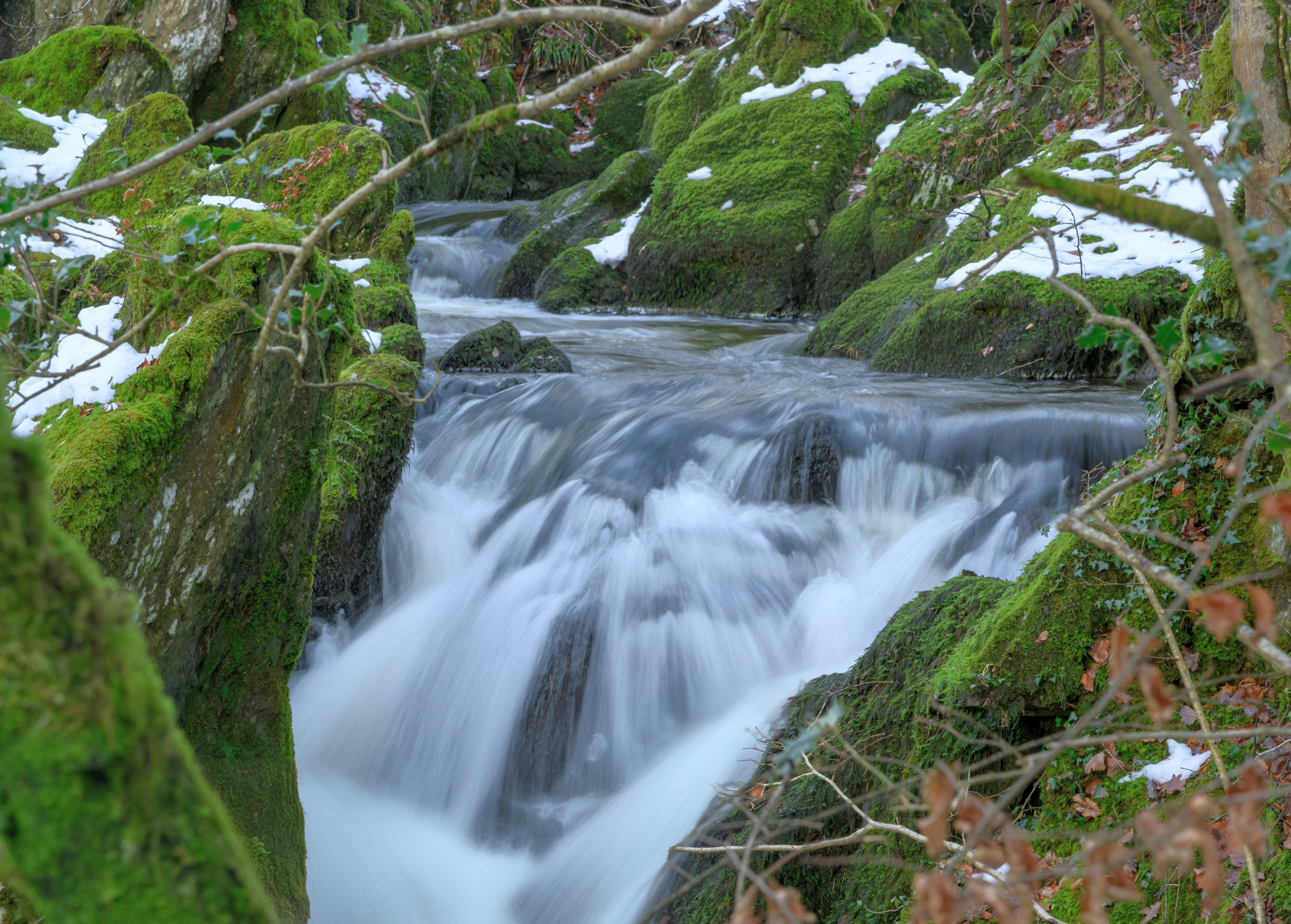 Stock Ghyll Force - Ambelside