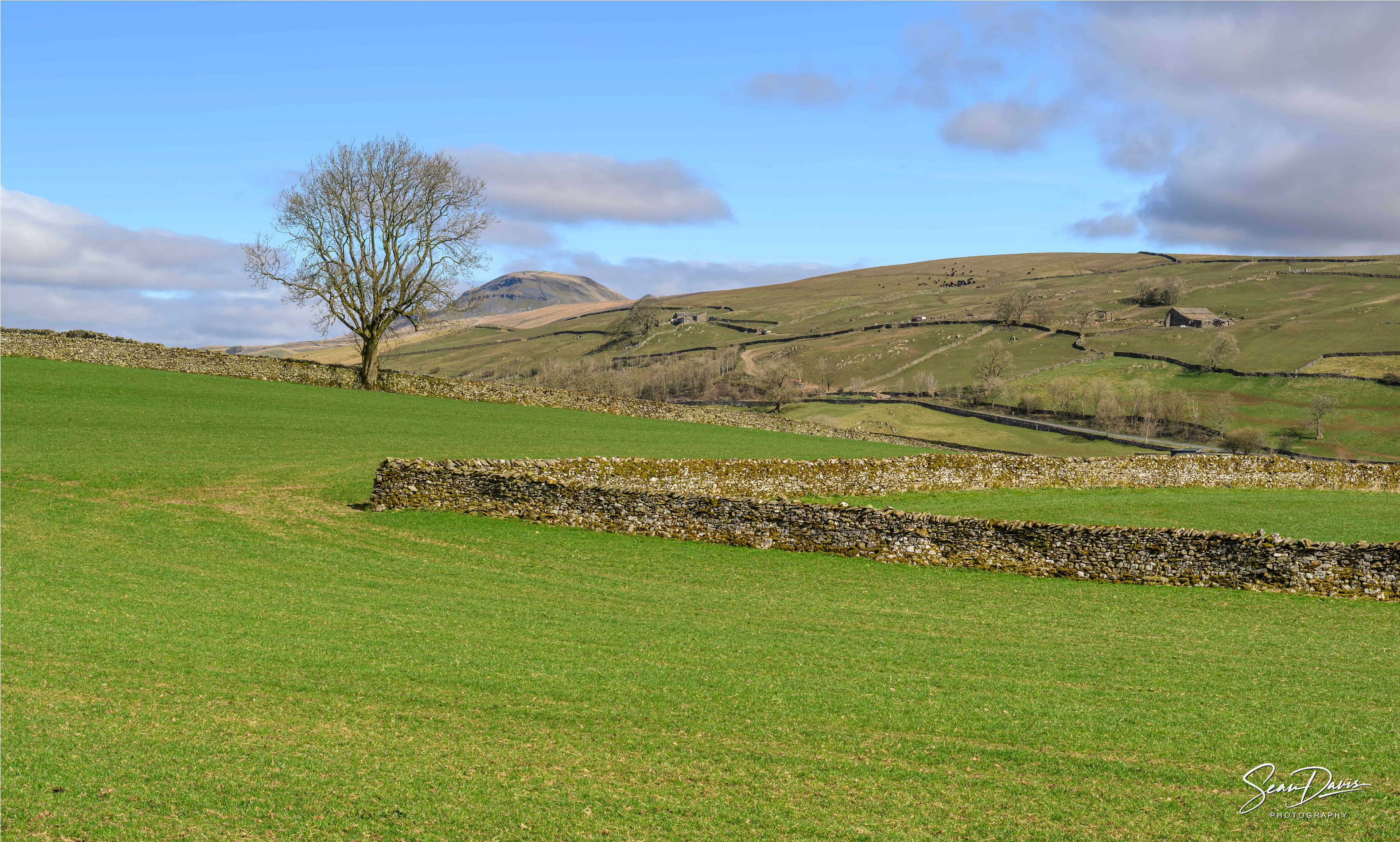 Looking back at Ingelton