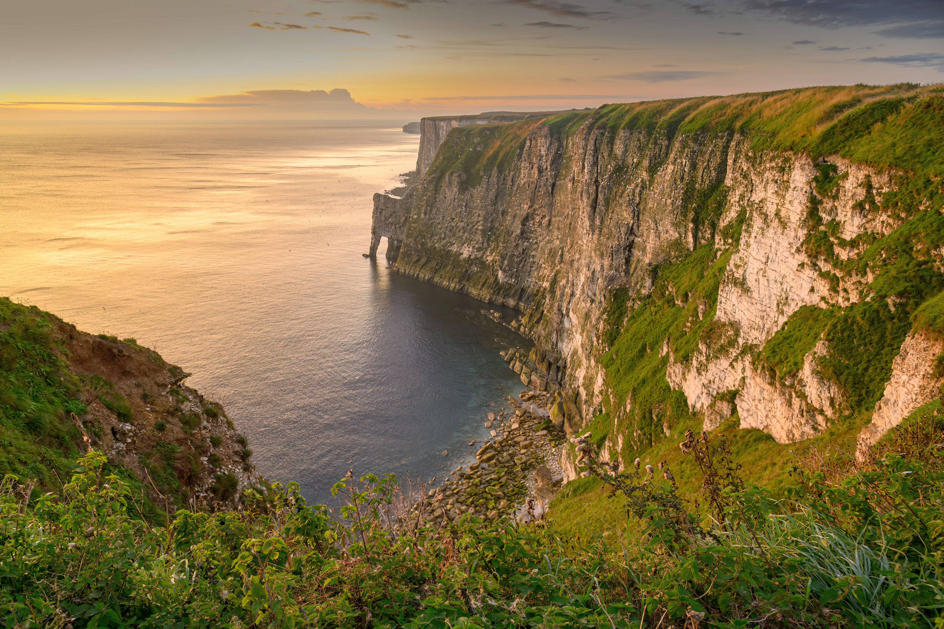 Bempton Cliffs