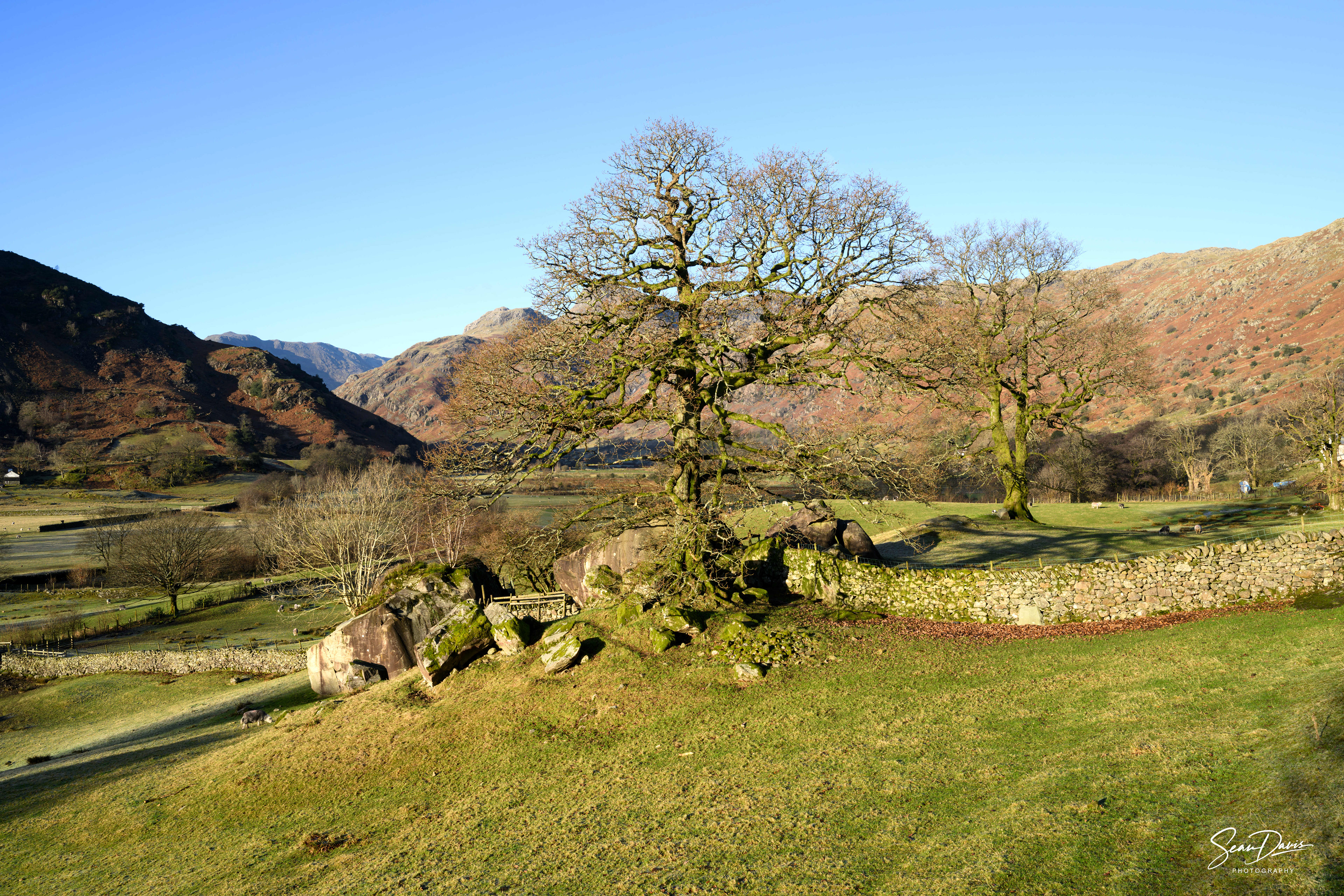 Langdales