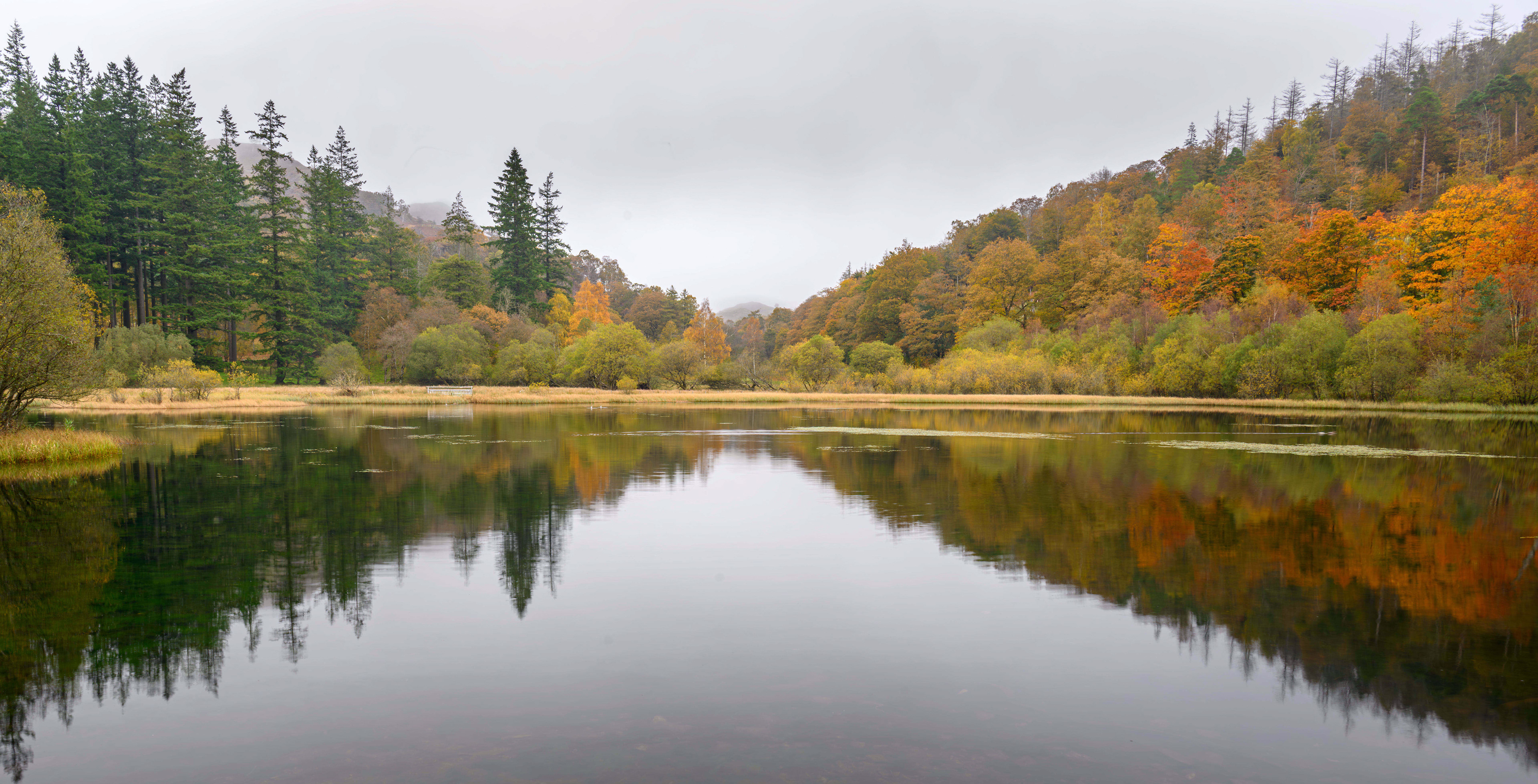 Yew Tree Tarn