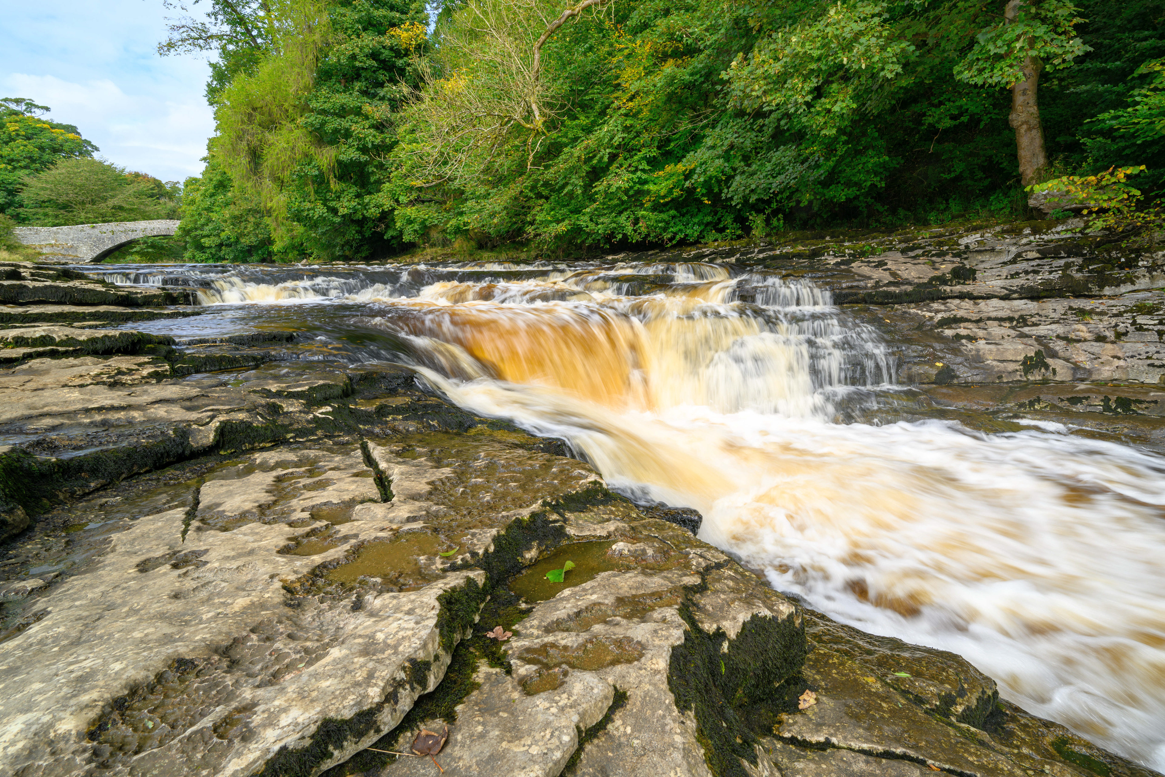 Stainforth Force