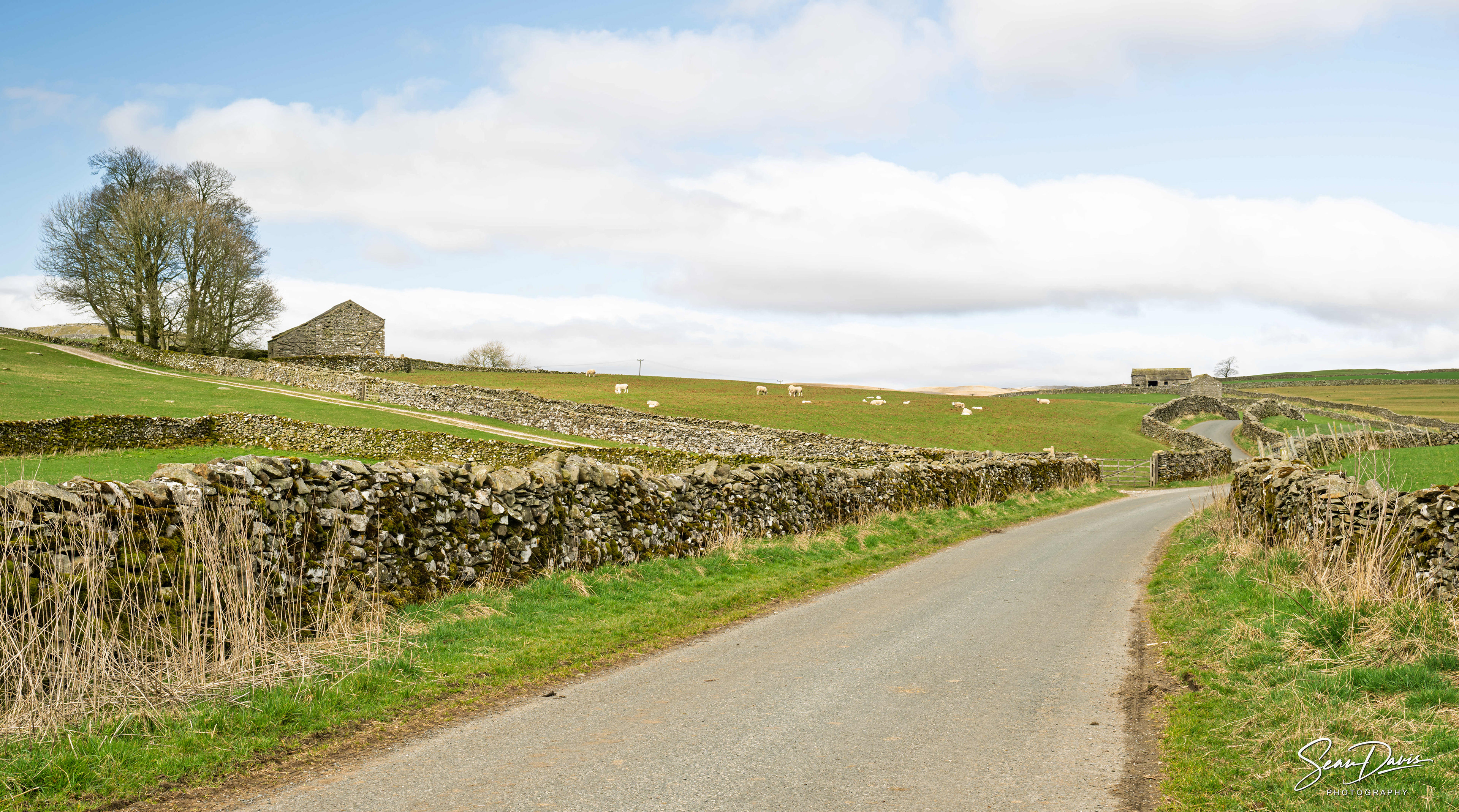 Along the road