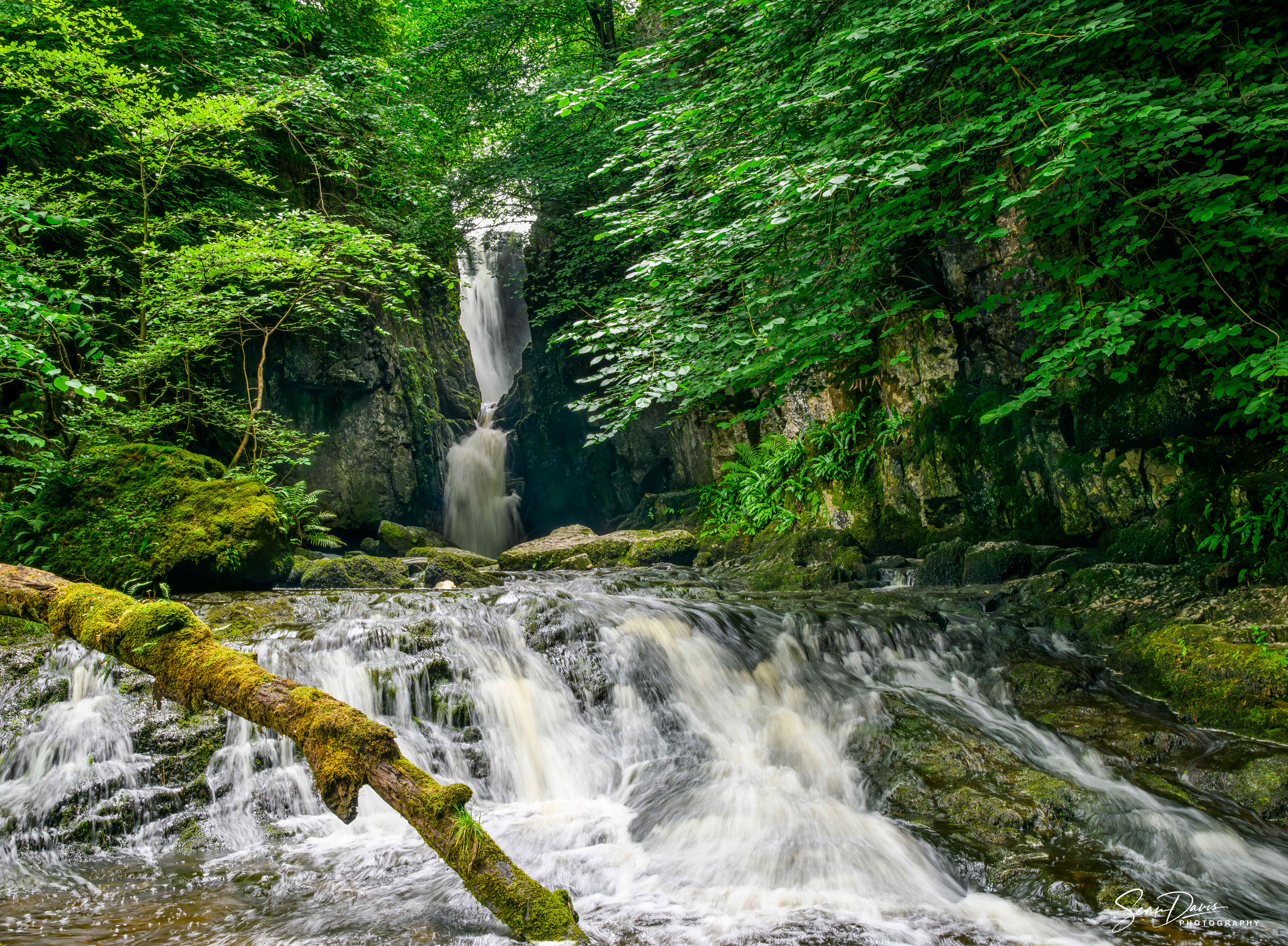 Caterig Foss