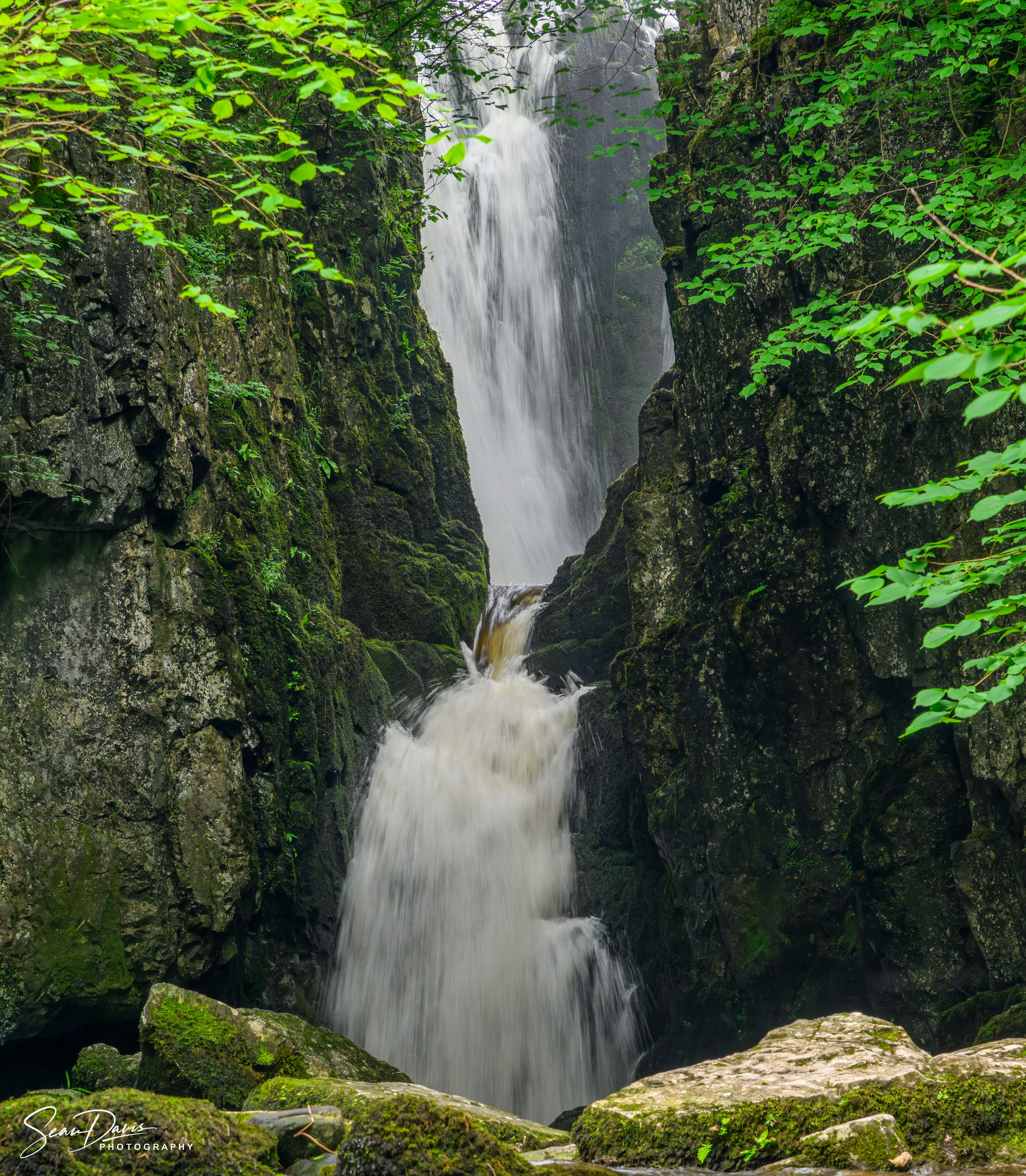 Catterick Foss