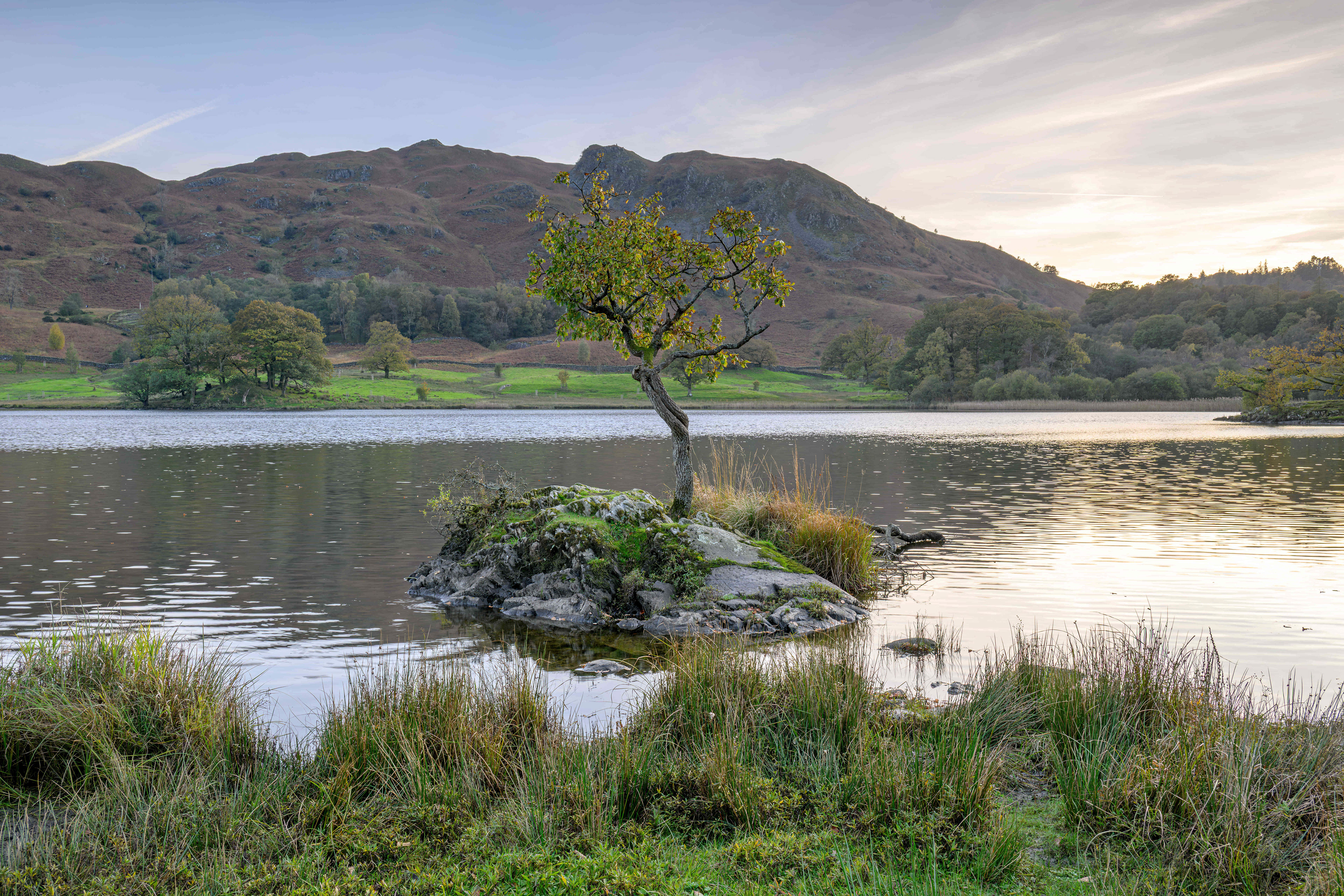 Loan Tree at Rydal Water