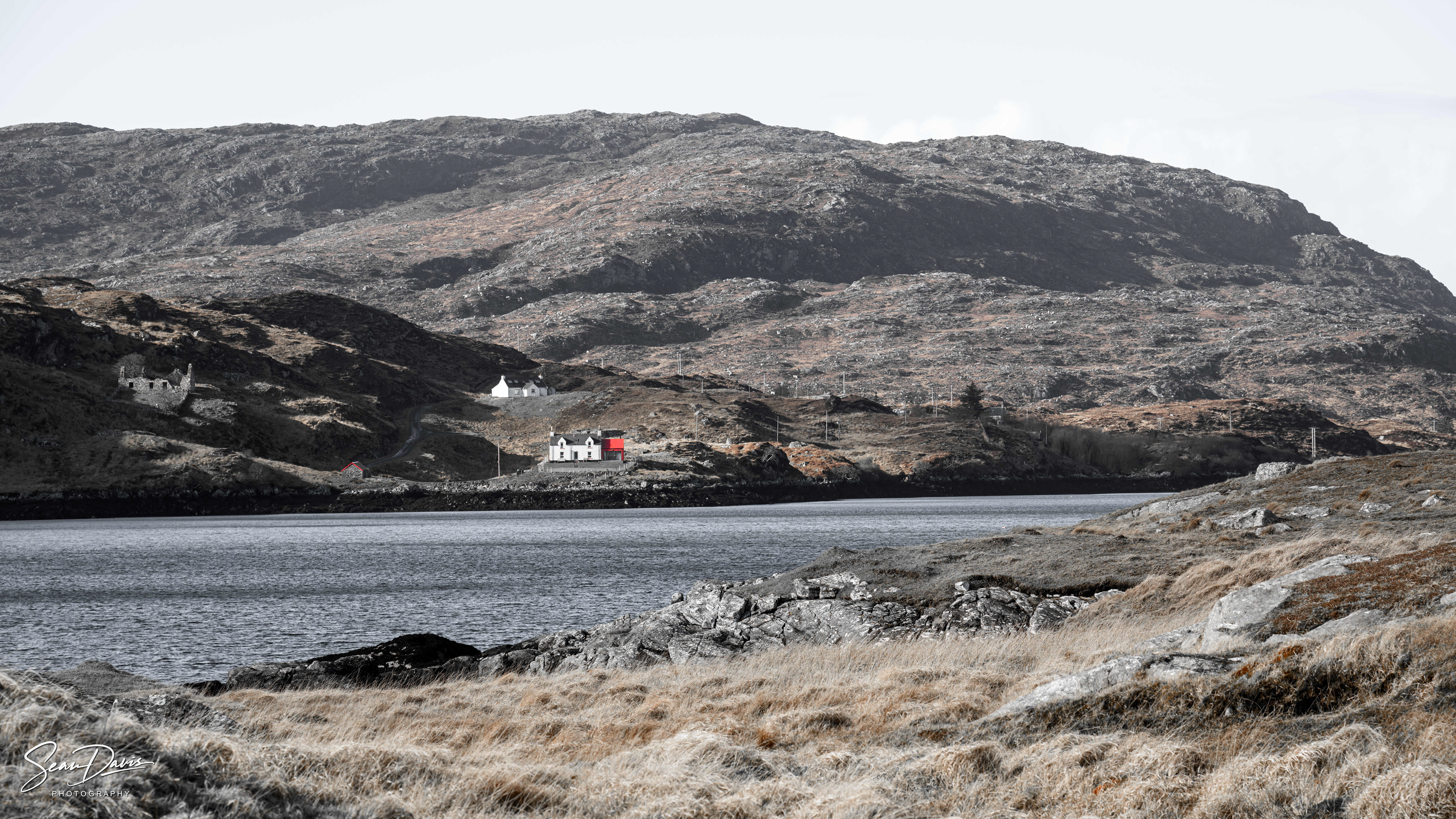 Harris