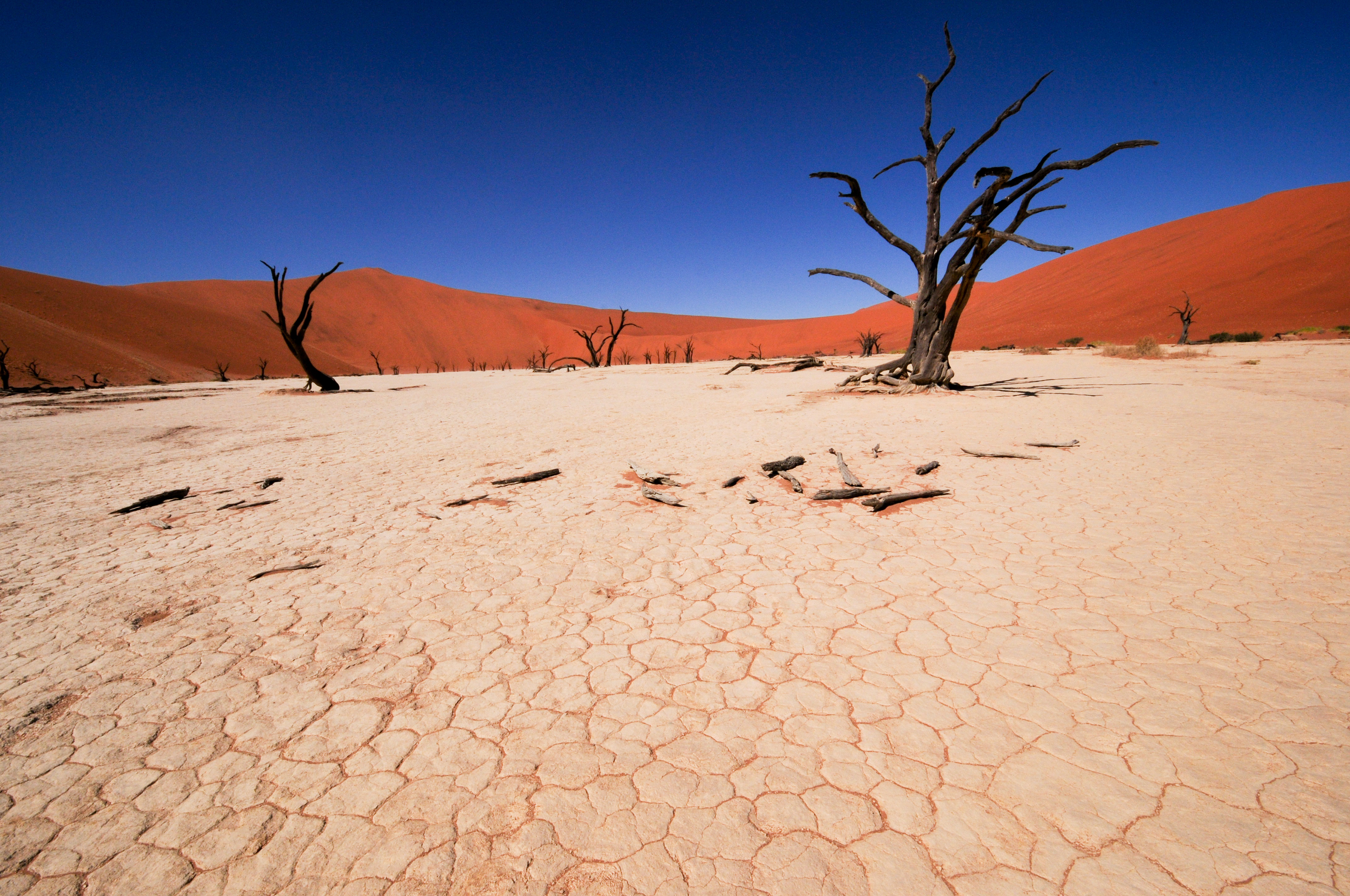 Sossusvlei Namibia
