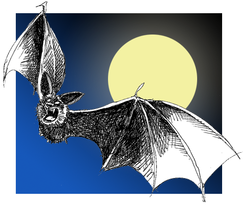 Illustration for children's book