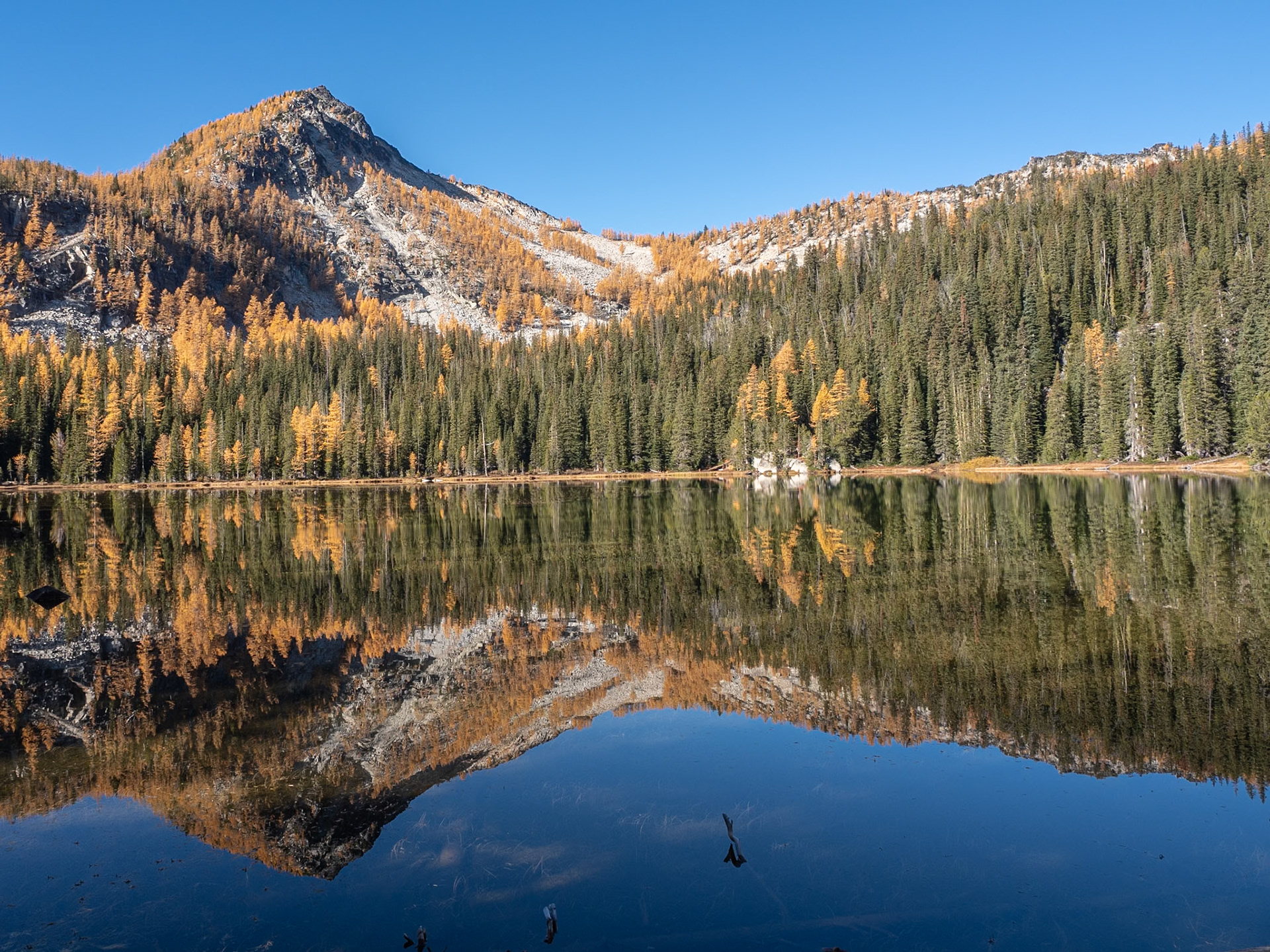 Alpine Lake Mirror Reflection with Larches