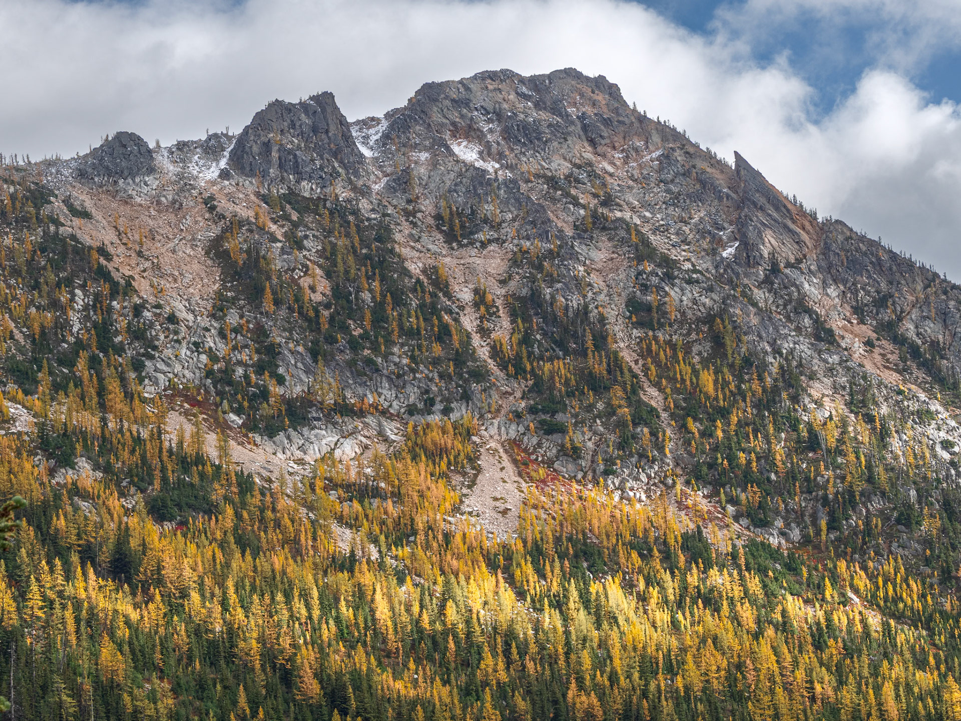 Light over Larches with Mountain