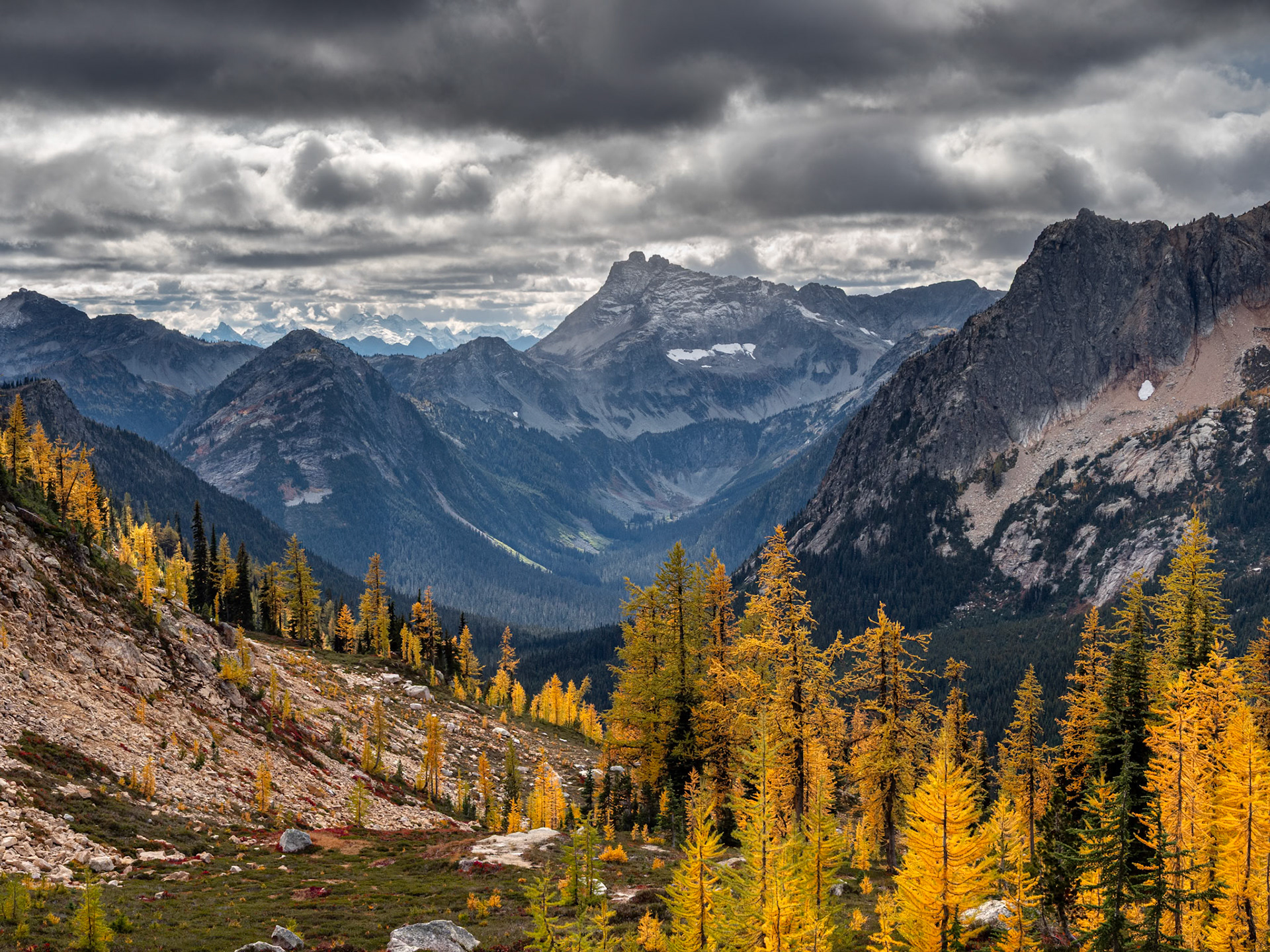 Mountain Scene with Larches and Moody Sky