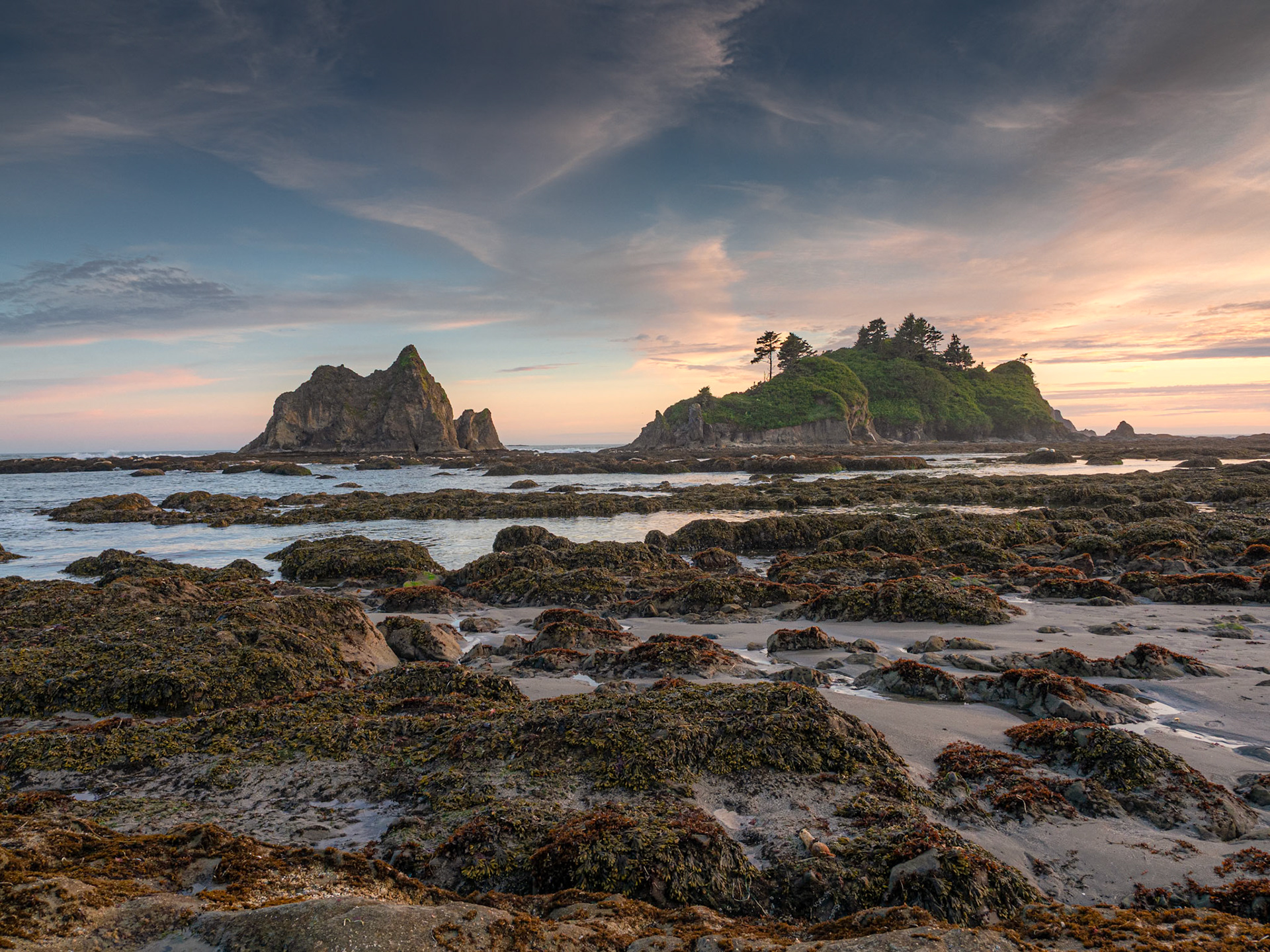 The Olympic Coast at Sunset
