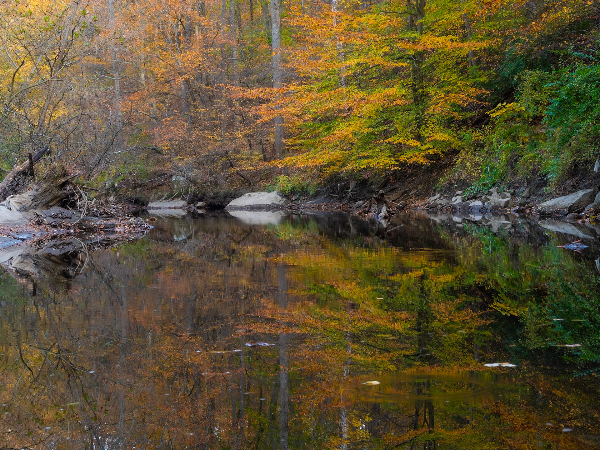 Creek Fall Color Reflection
