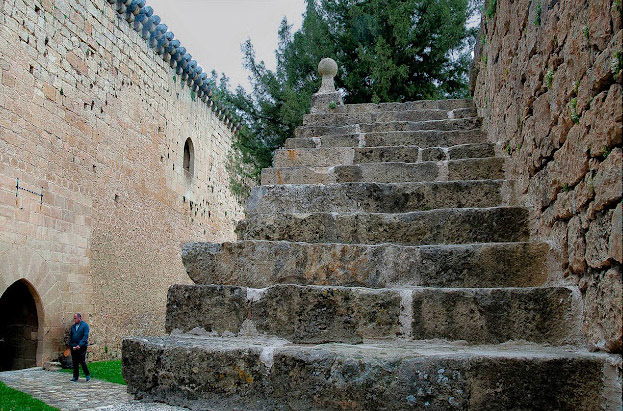 Perspectiva