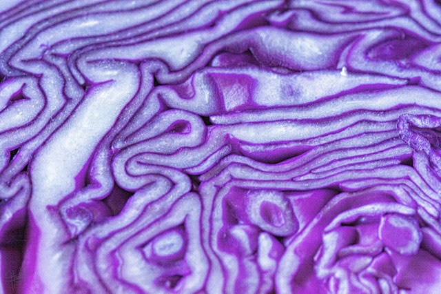 Textura y color
