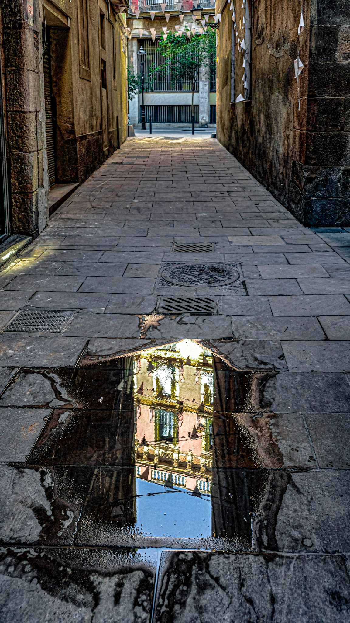 Reflejo