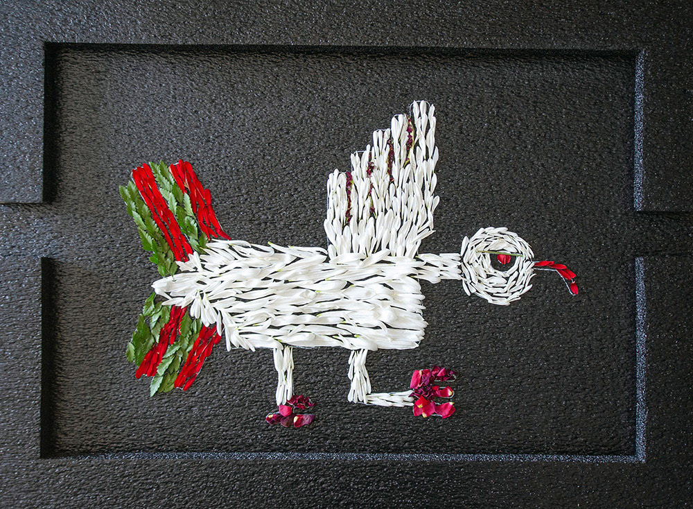 The bird, one week later.
