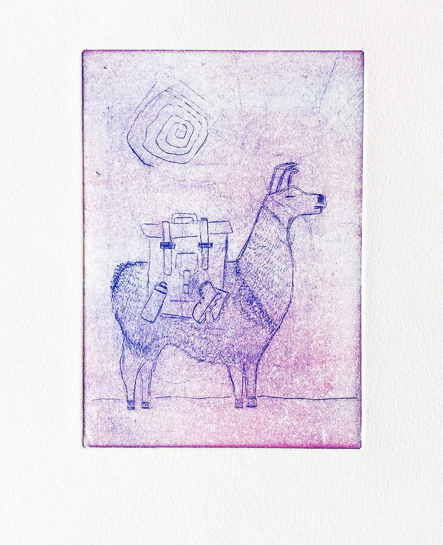 Llama Viajera, 2023.