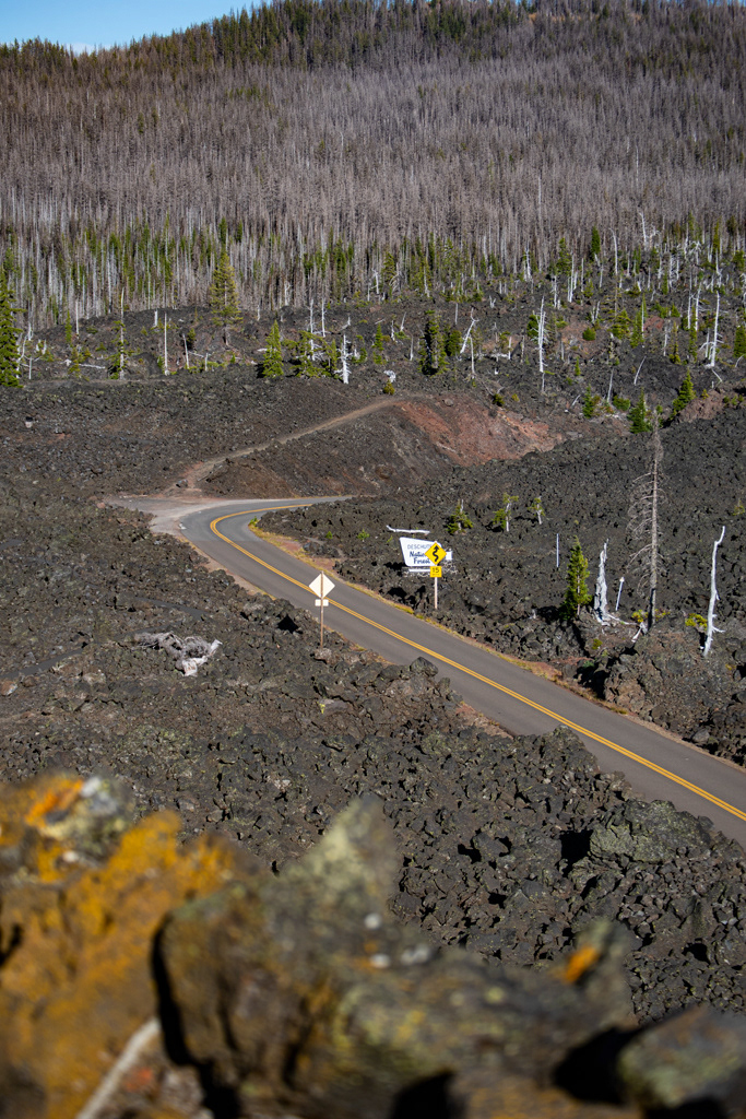 Volcanic Meadow