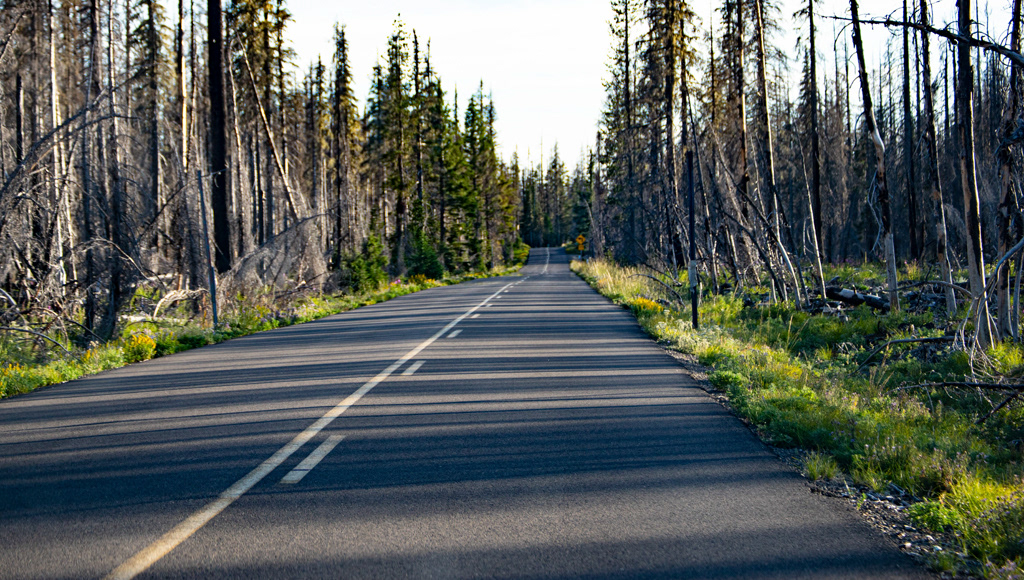 Lone Road