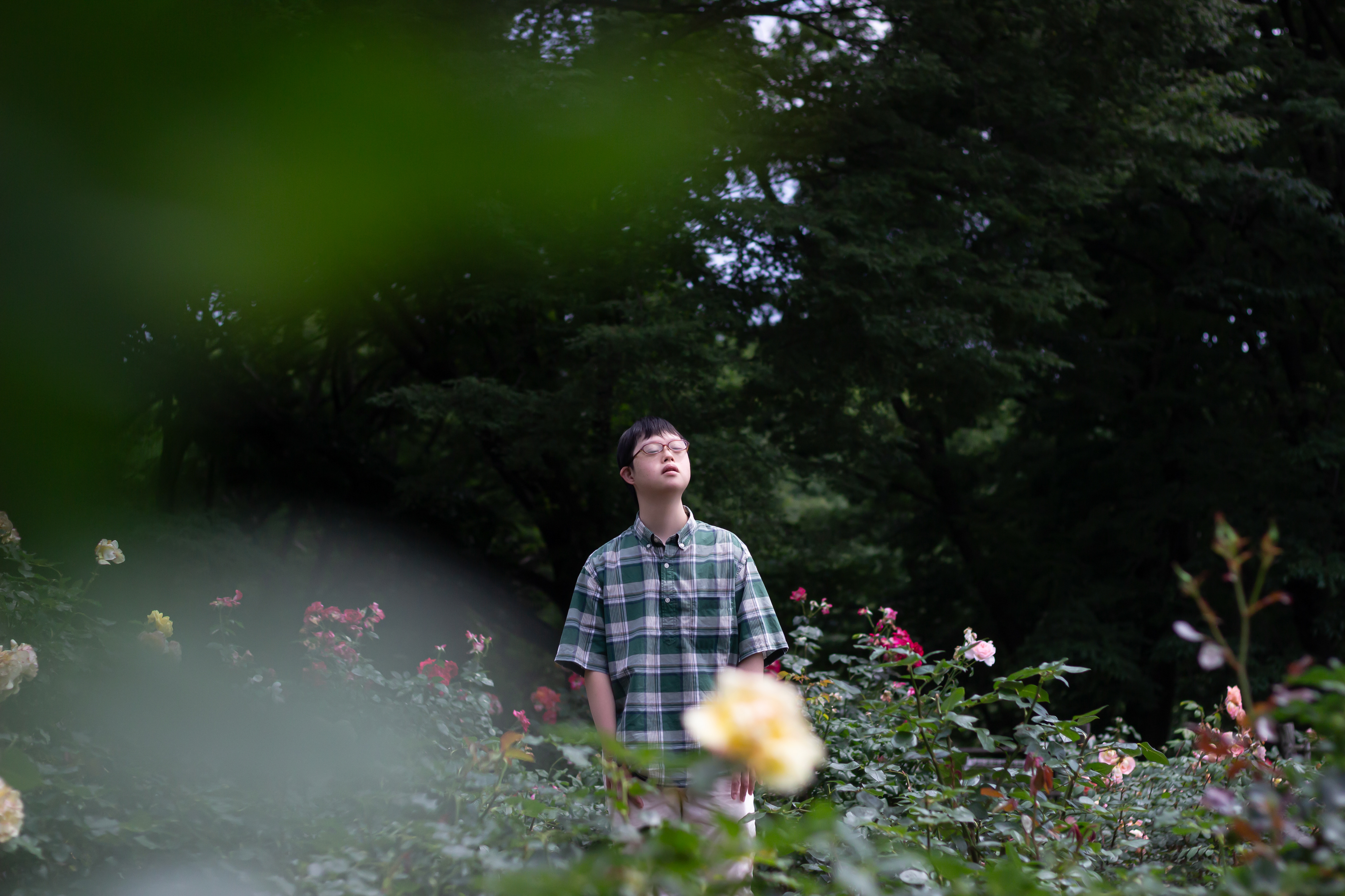 Comedian 金澤悠太郎 