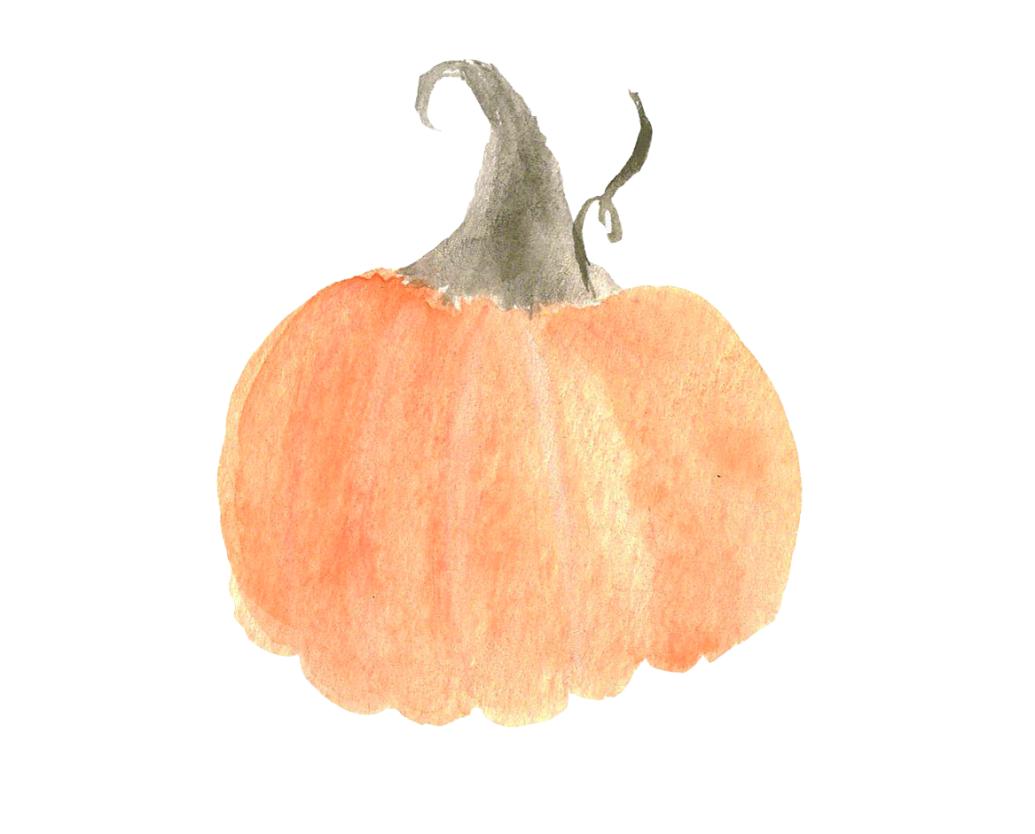 Of course a pumpkin