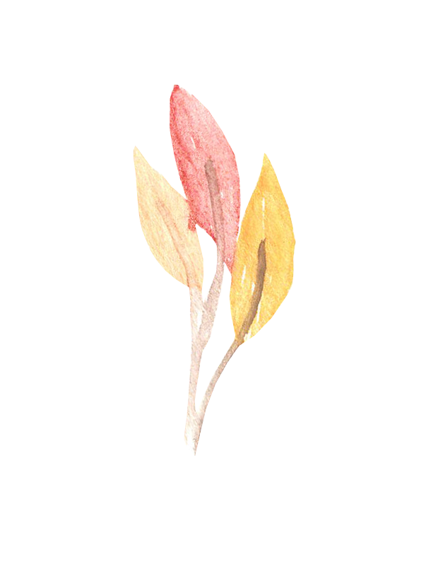 Fall leaves