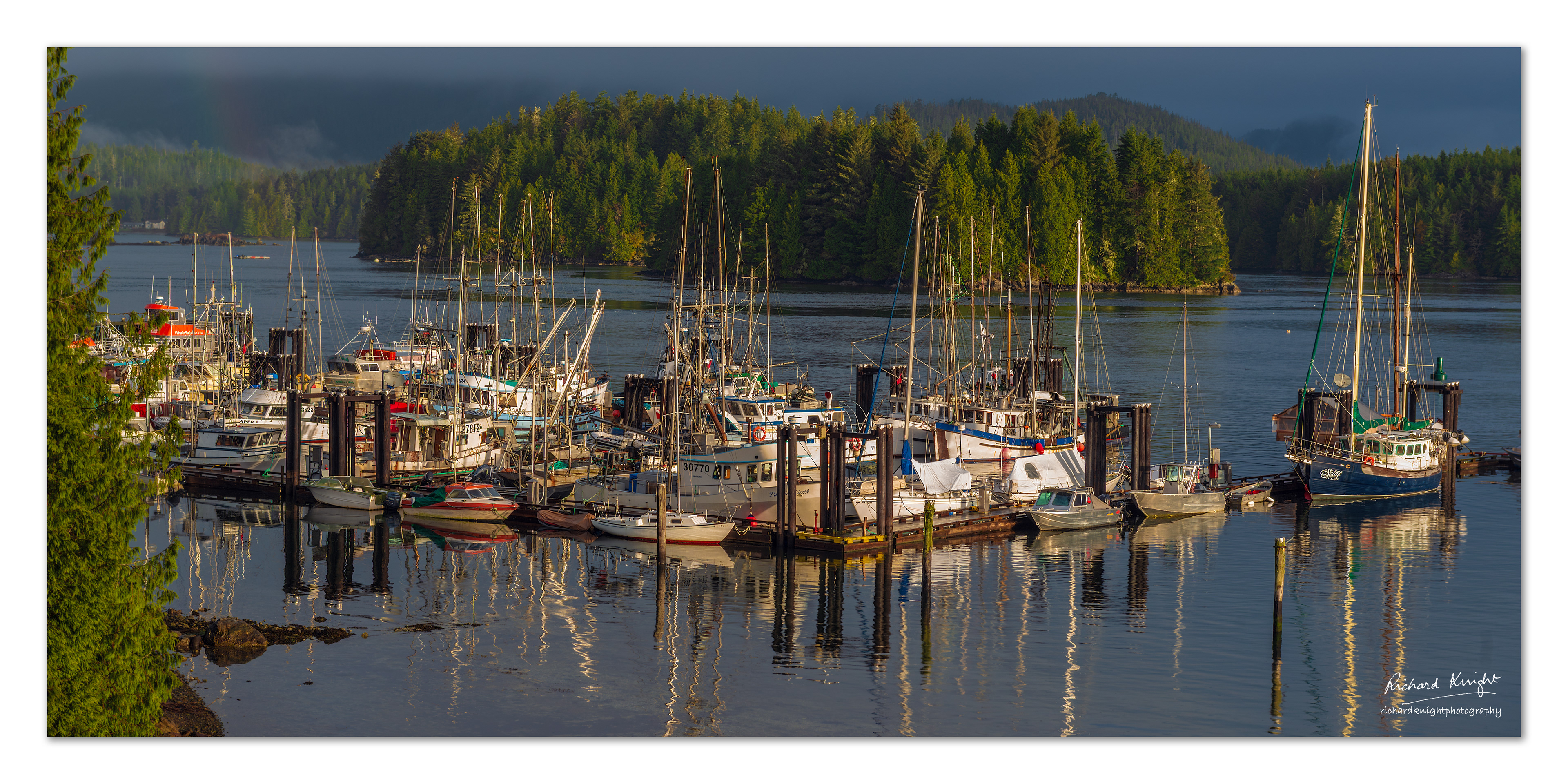Fishing boats in Tofino harbor