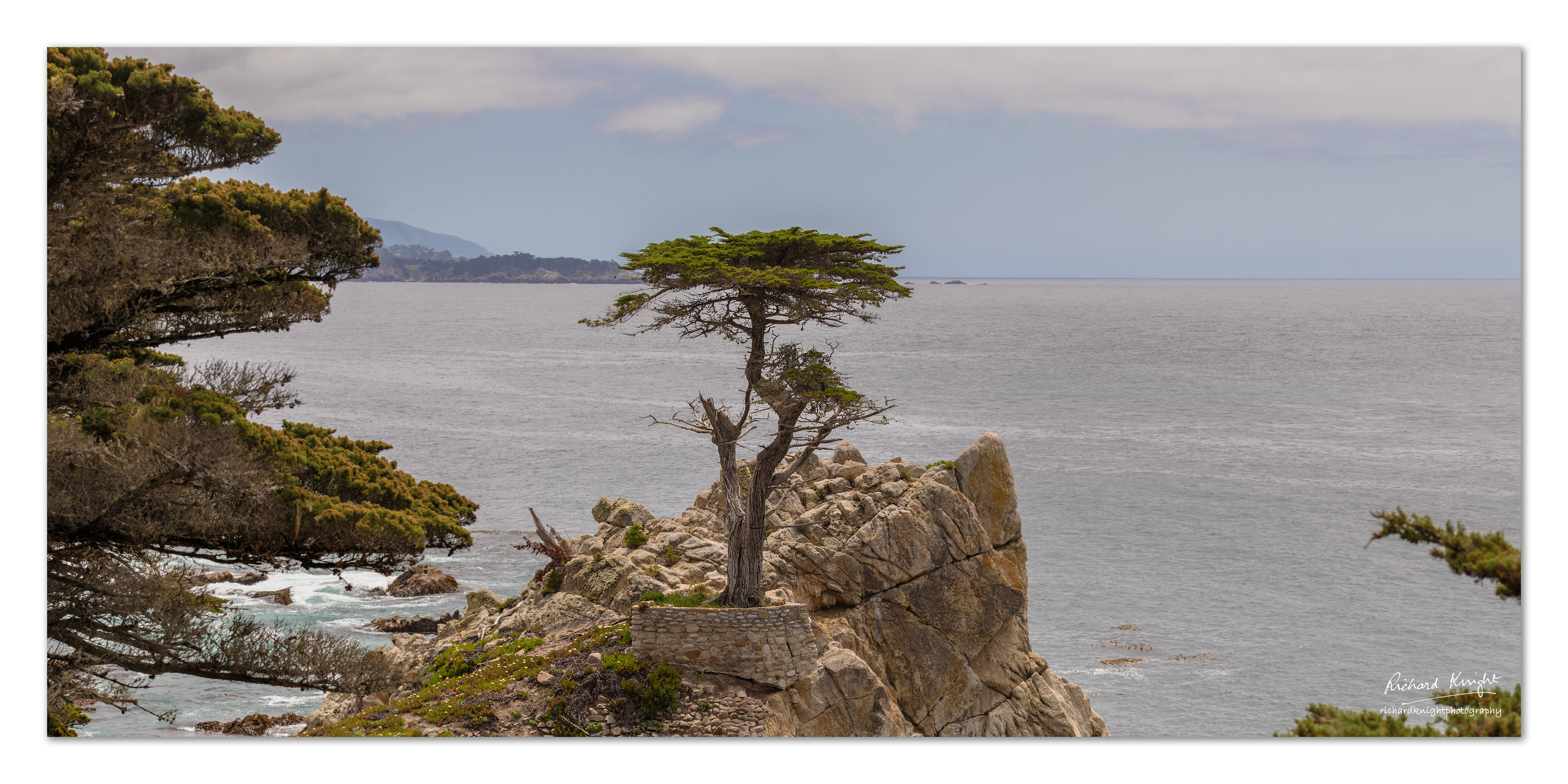 The lone cypress, Pebble Beach (c)