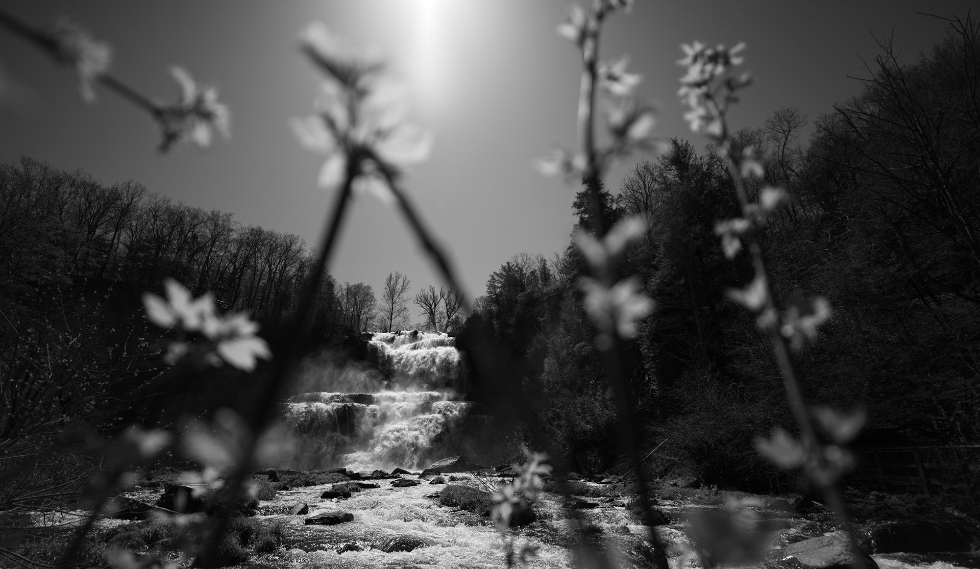 Chittenango Falls, New York | April 2026