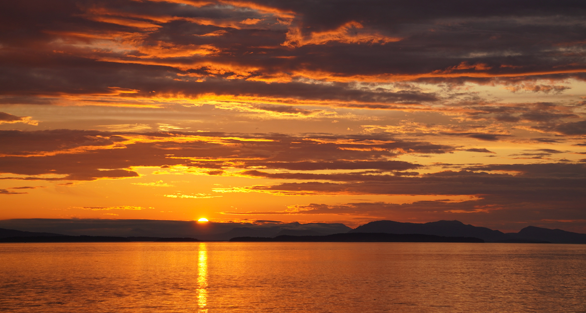 San Juan Islands, Washington | June 2025