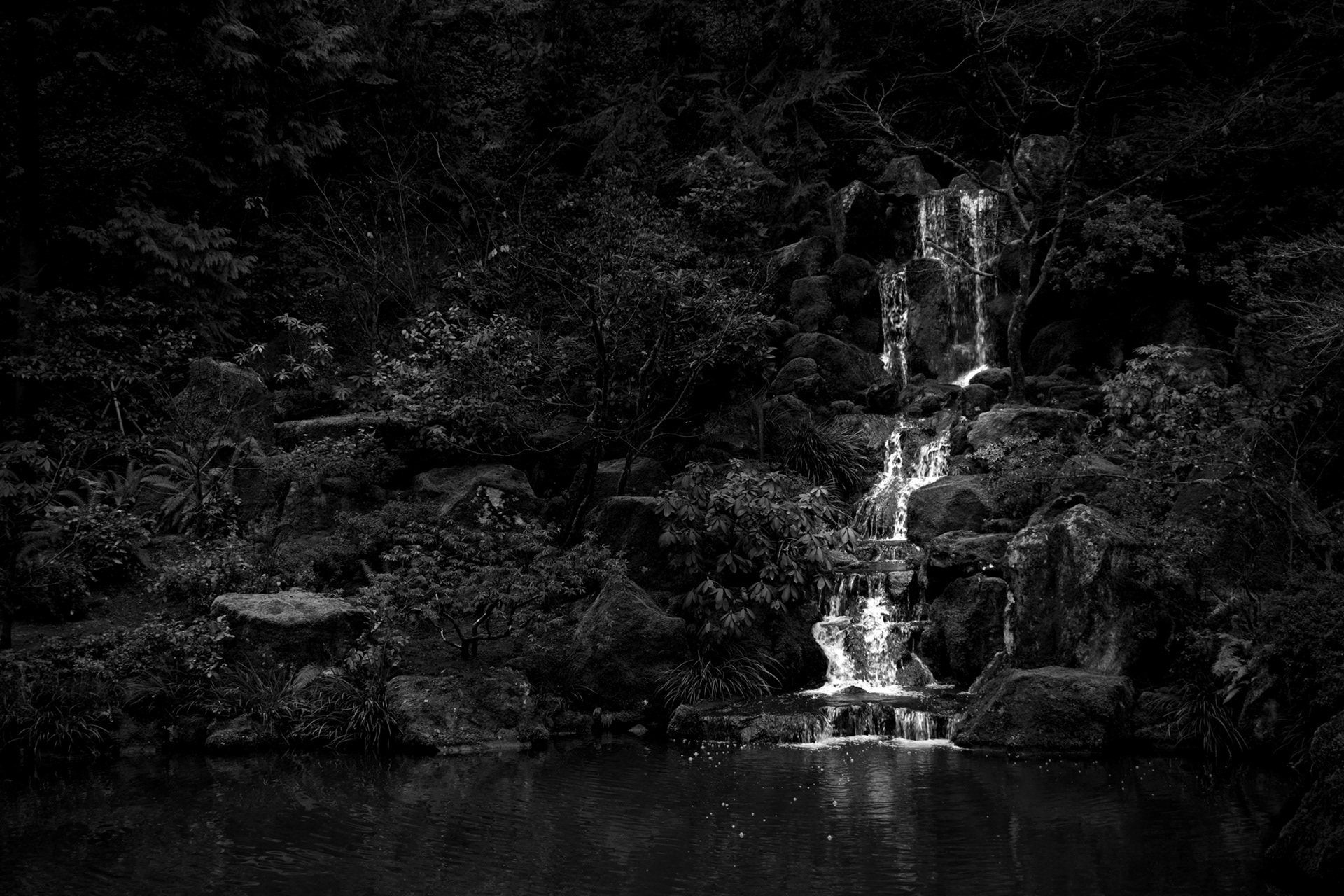 Portland, Oregon | January 2024