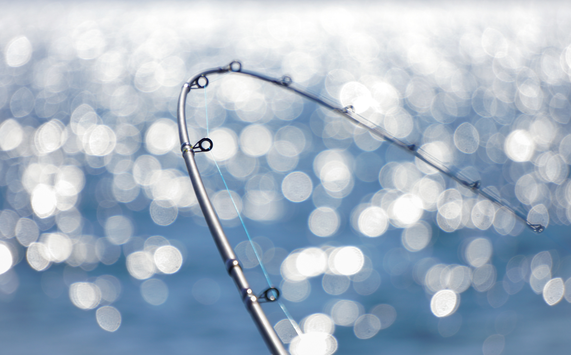 Puget Sound, Washington | June 2025