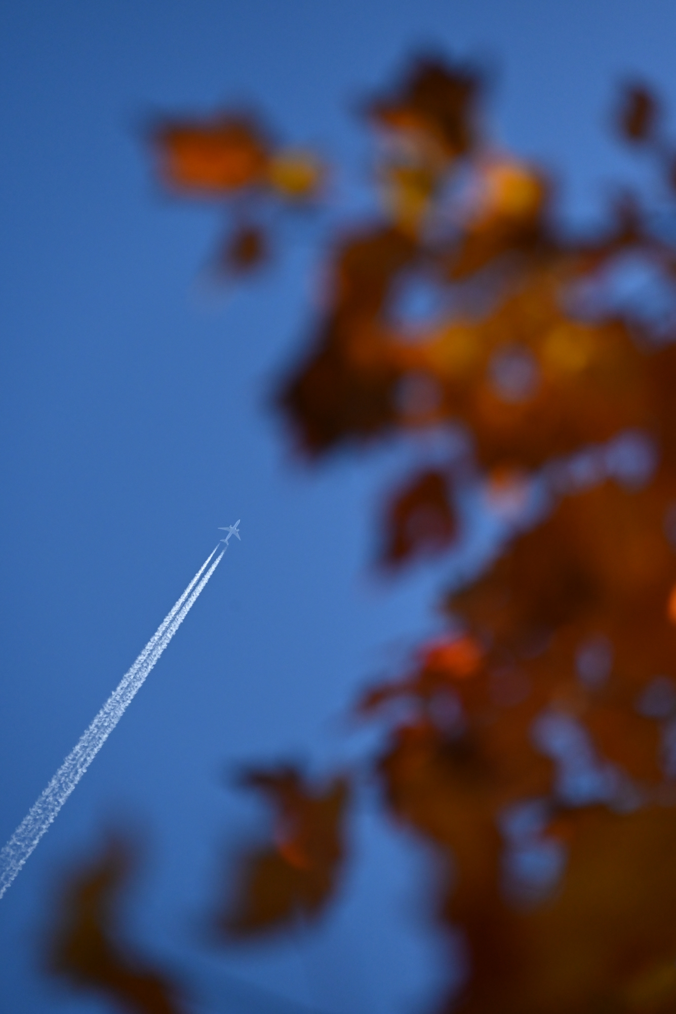 A plane flies above the fall foliage just outside Baldwinsville High School in New York.